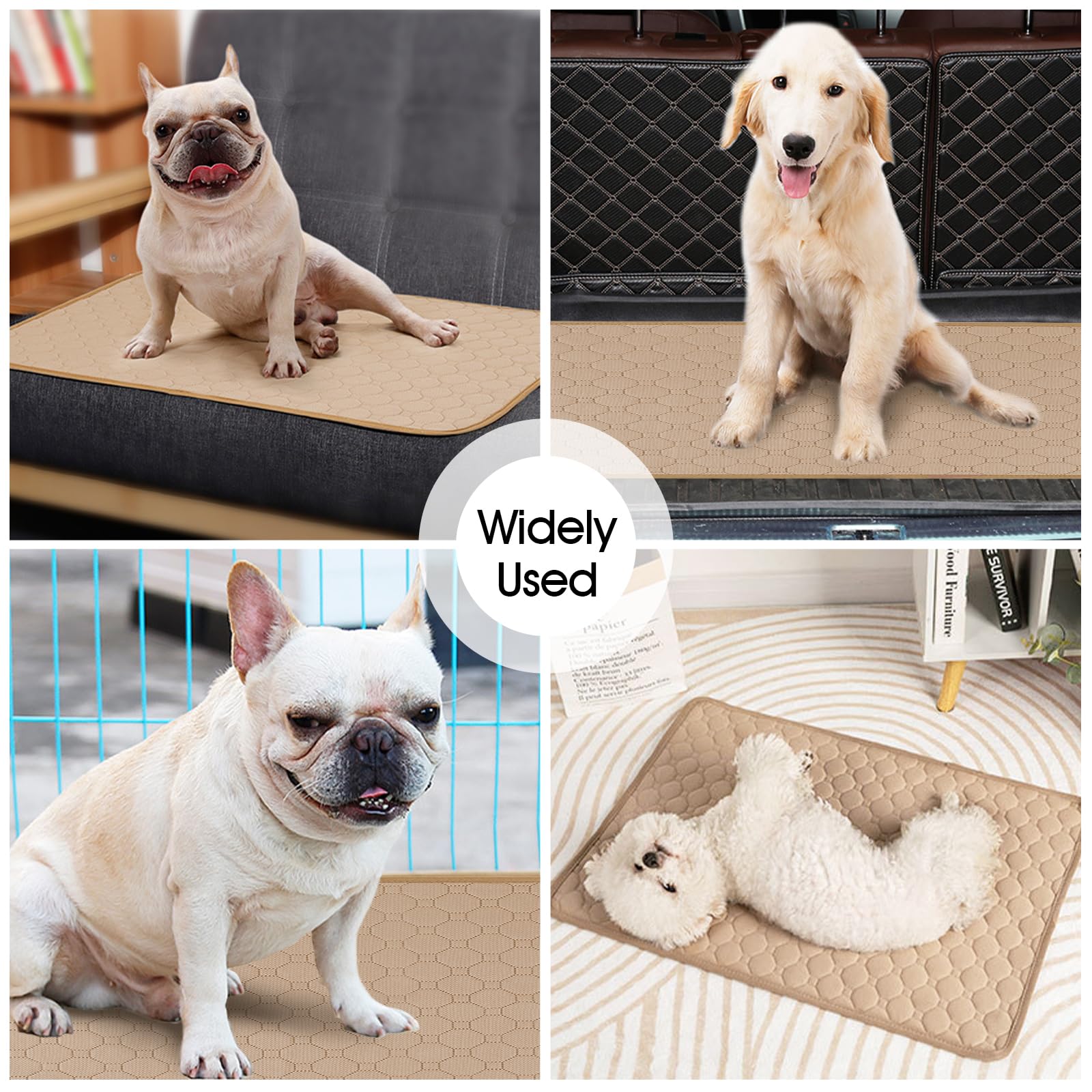 IDOMIK Reusable Washable Dog Training Pads - Non-Slip Silicone Mat with Leak-Proof Tray for Puppy Potty Training | Indoor Kennel & Crate Protection | Perfect for Housebreaking, Floor Safety & Pet Hygiene