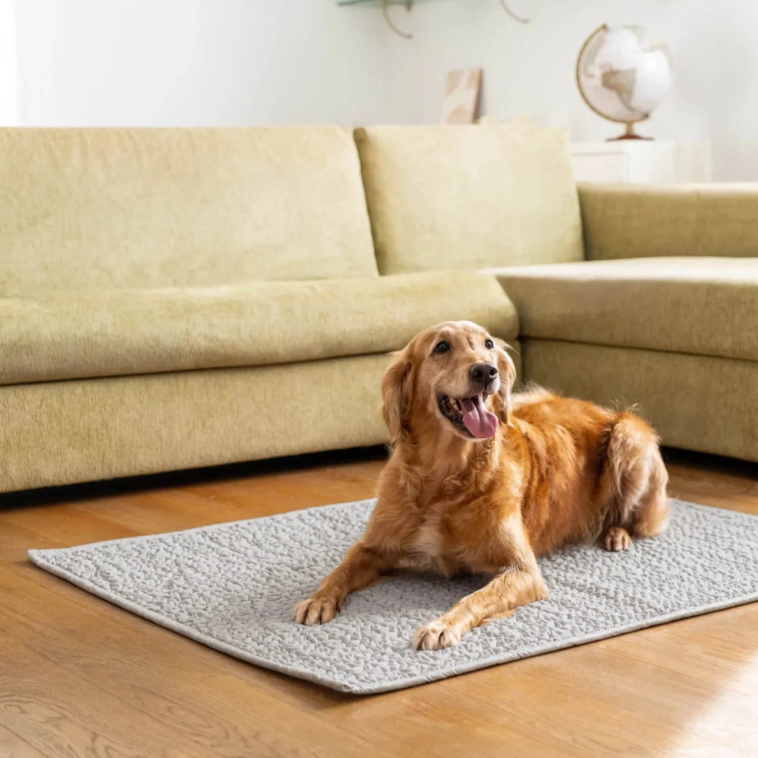 Waterproof Dog Blanket Armchair Cover - Soft Pet Bed Protector for Furniture, Washable & Non-Slip - Perfect for Sofas, Couches, and Recliners