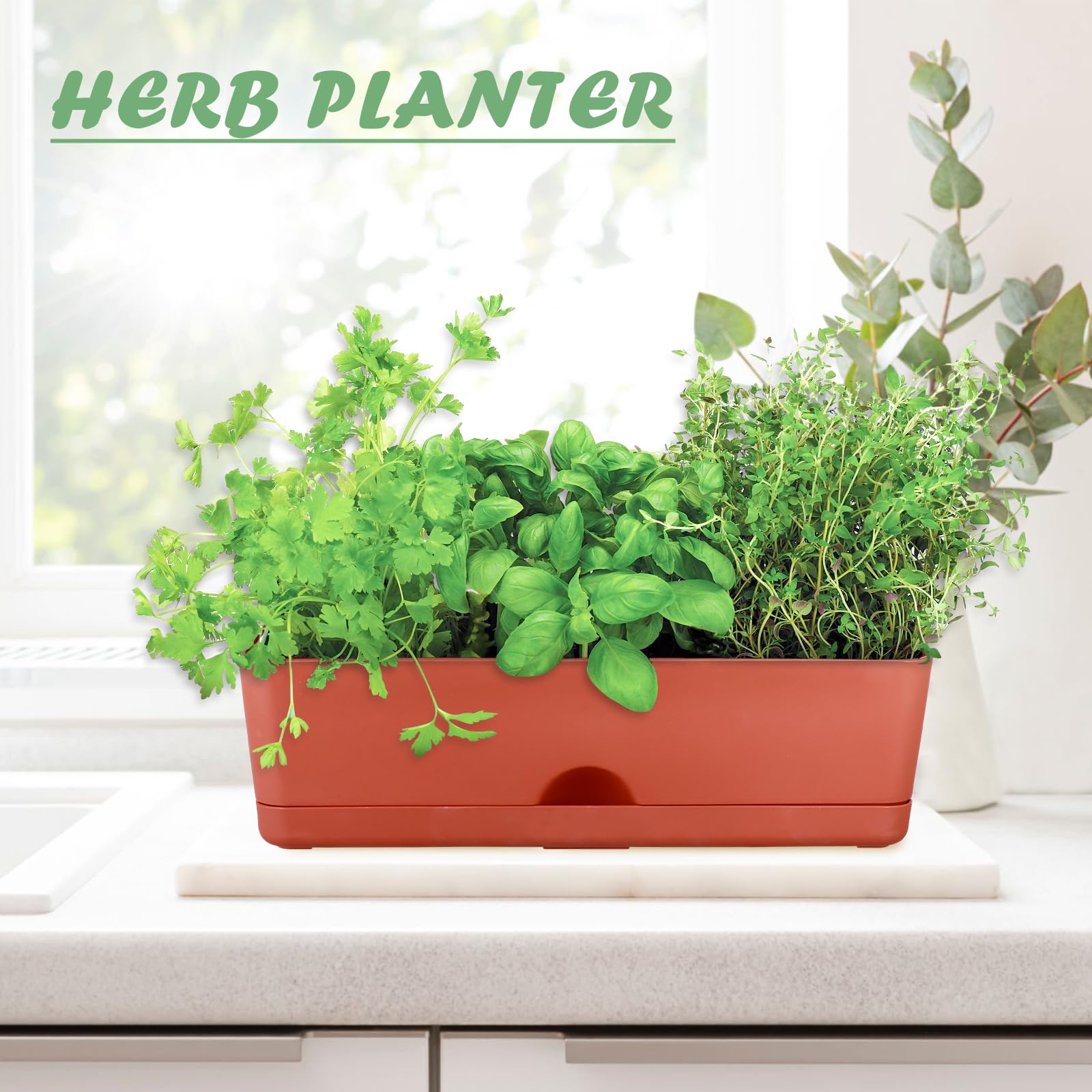 6-Pack 16 Inch Large Rectangle Plastic Window Box Planters for Herbs, Vegetables, Flowers - Indoor & Outdoor Use, Perfect for Windowsill, Balcony, Garden, and Patio Decor