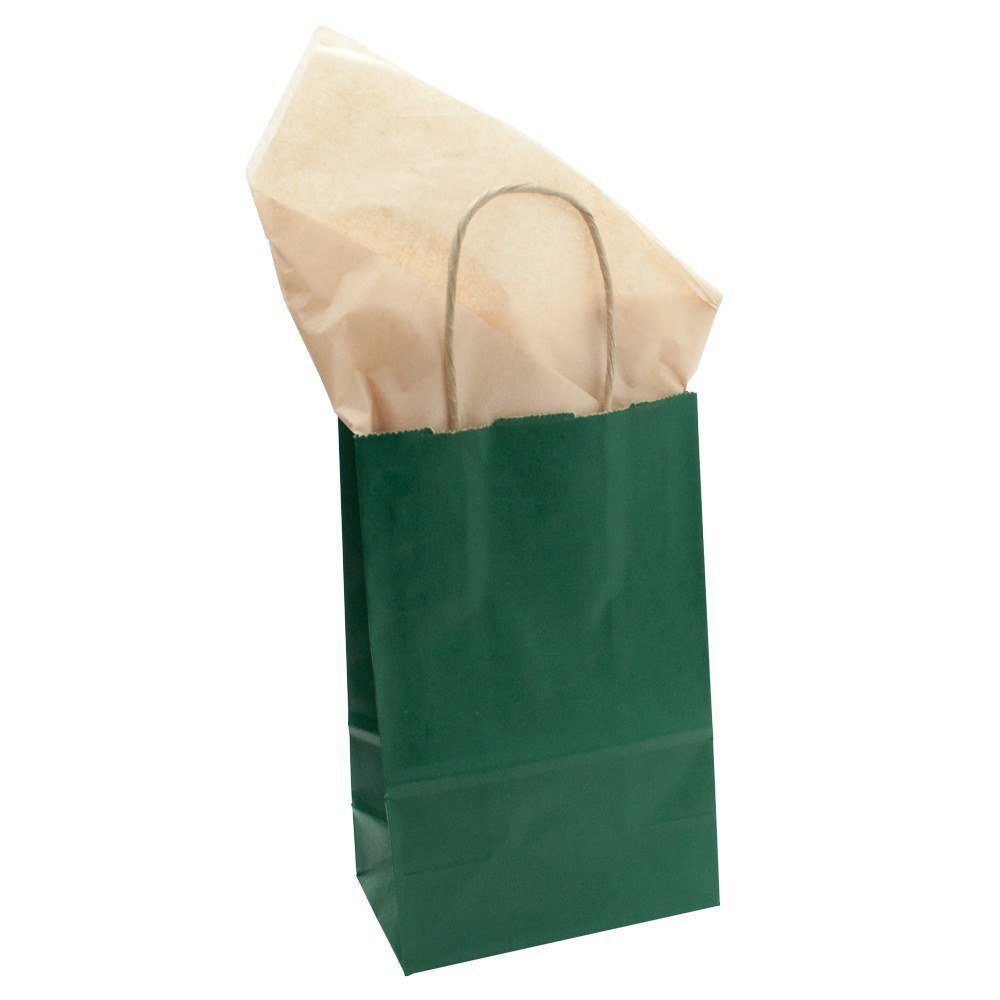 Eco-Friendly Hunter Green Kraft Paper Bags - Bulk Pack of 250 for Gift Wrapping, Shopping, Grocery Storage & Home Organization | Perfect for Parties, Retail Stores & Sustainable Packaging