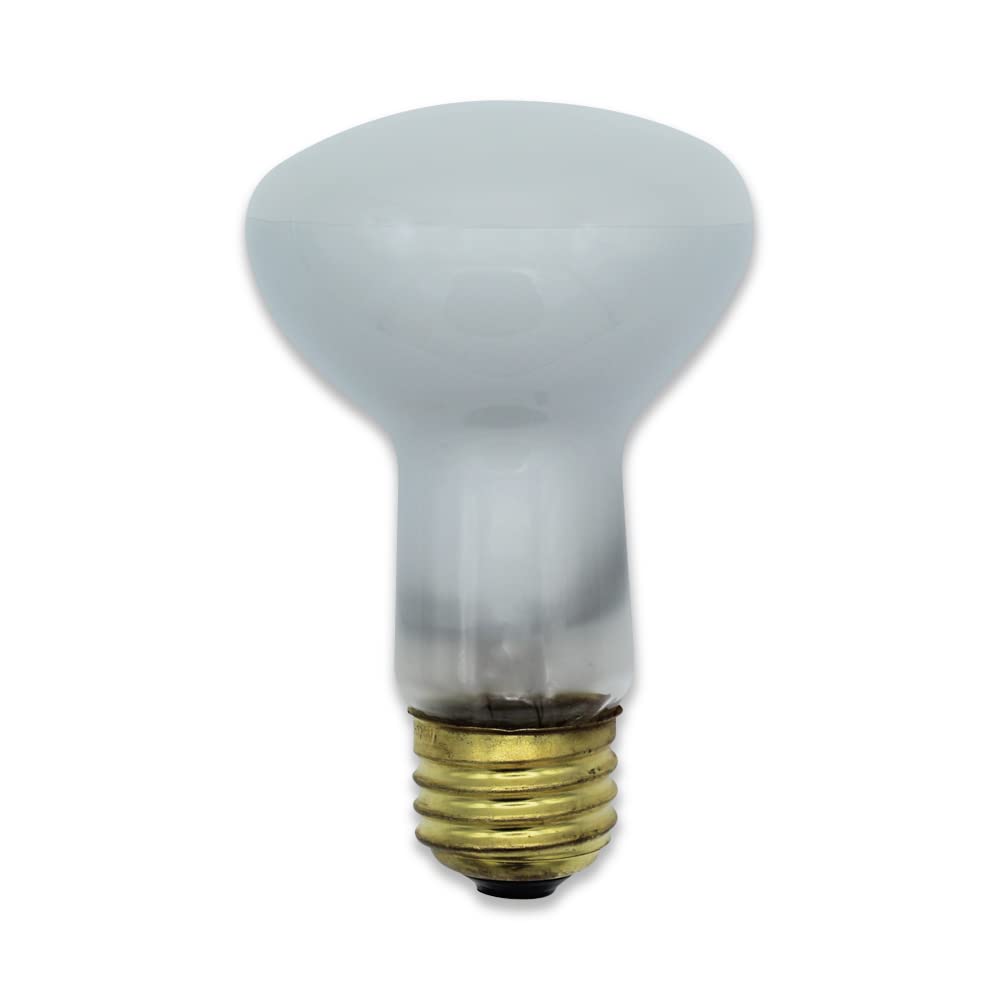 Technical Precision 45R20/FL Battery & Light Bulb Replacement - 2 Pack Set for Flashlights, Emergency Kits & Camping Gear