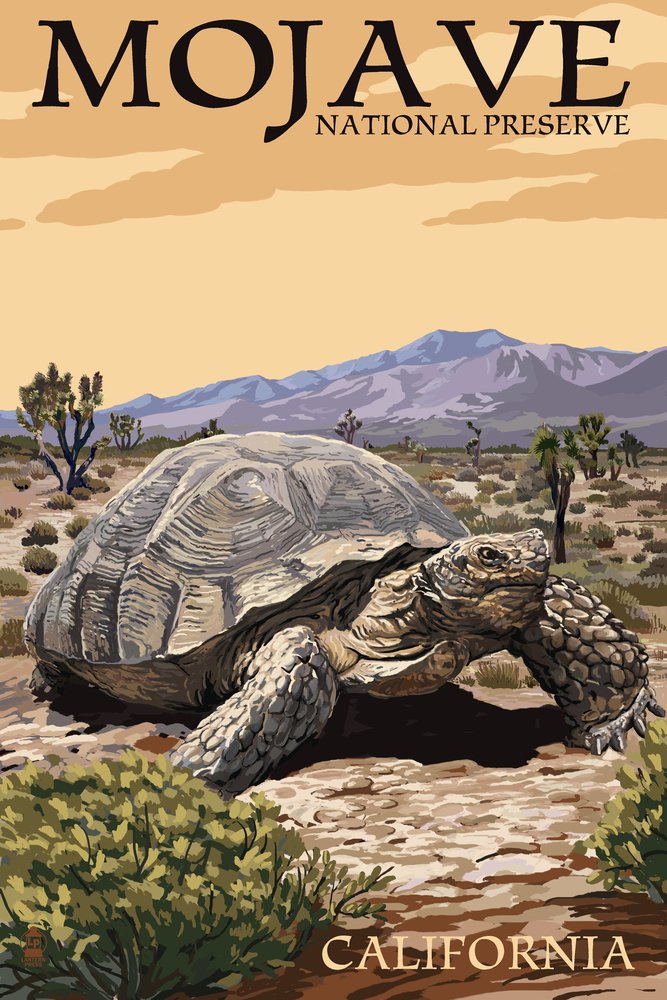 Mojave National Preserve California Tortoise Wall Art - 16x24 Wrapped Canvas Print for Home & Office Decor - Desert Wildlife Painting for Living Room, Bedroom or Office