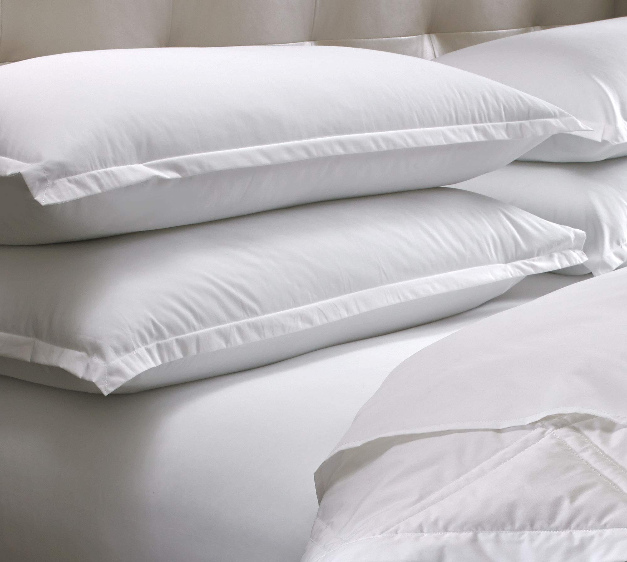 Sheraton Medium Support Feather & Down Pillow - Queen Size 20