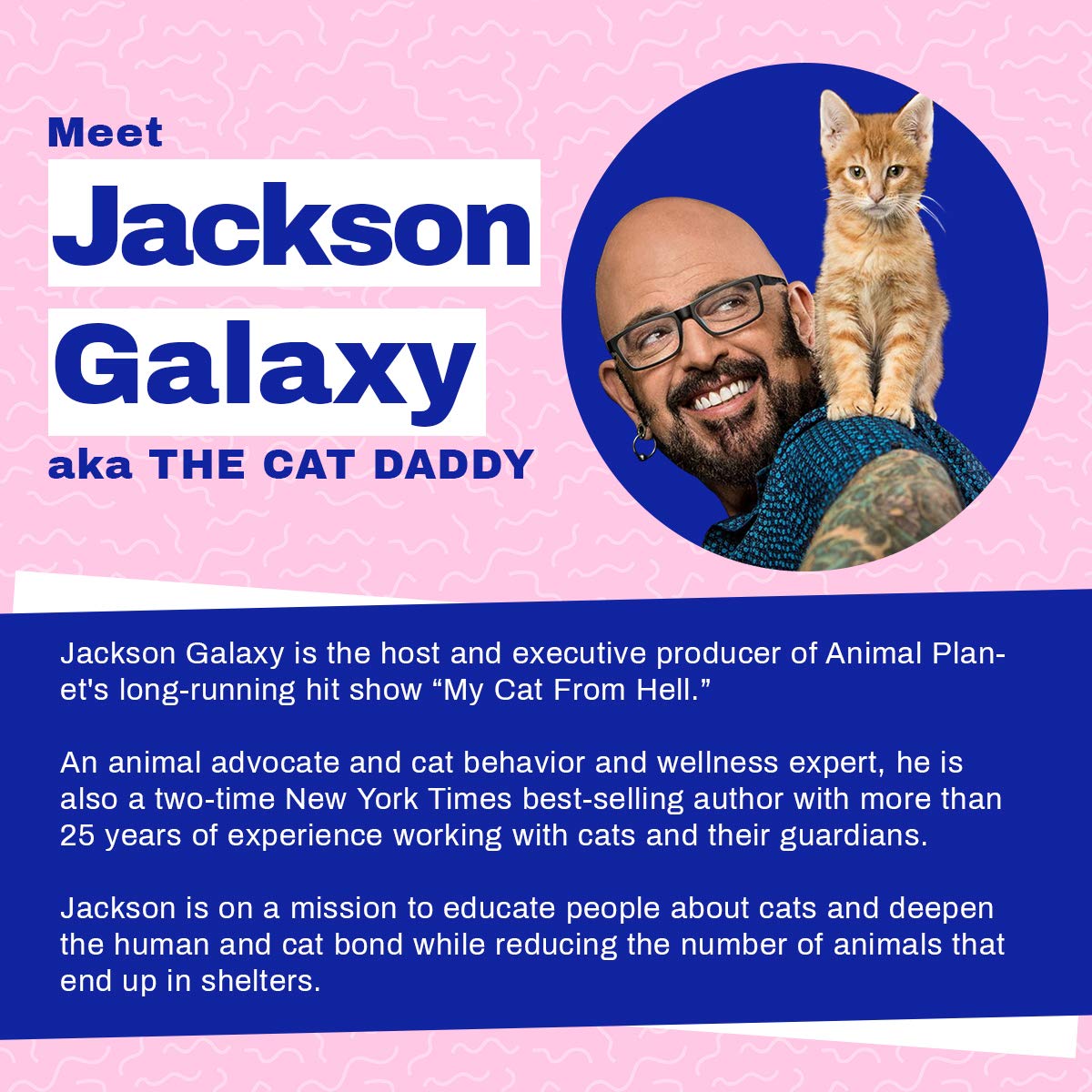 **Jackson Galaxy Airline Approved Cat Backpack Carrier - Space Capsule Bubble for Small Cats & Kittens - Premium Pet Carrier for Travel, Hiking & Outdoor Adventures - Perfect for Vet Visits, Road Trips & Daily Commutes**