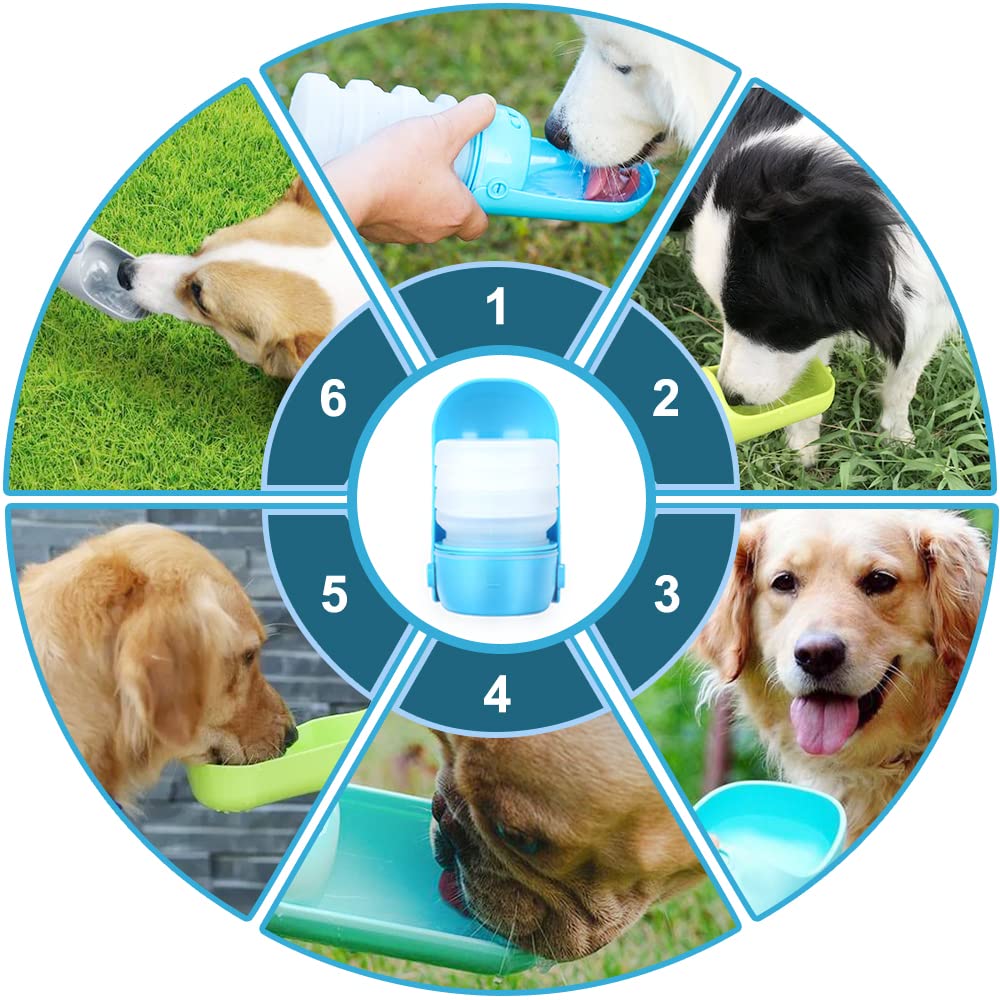 Portable Foldable 300ml Leak Proof Silicone Dog Water Bottle - Travel Pet Water Dispenser for Hiking, Walking & Outdoor Adventures (Blue)