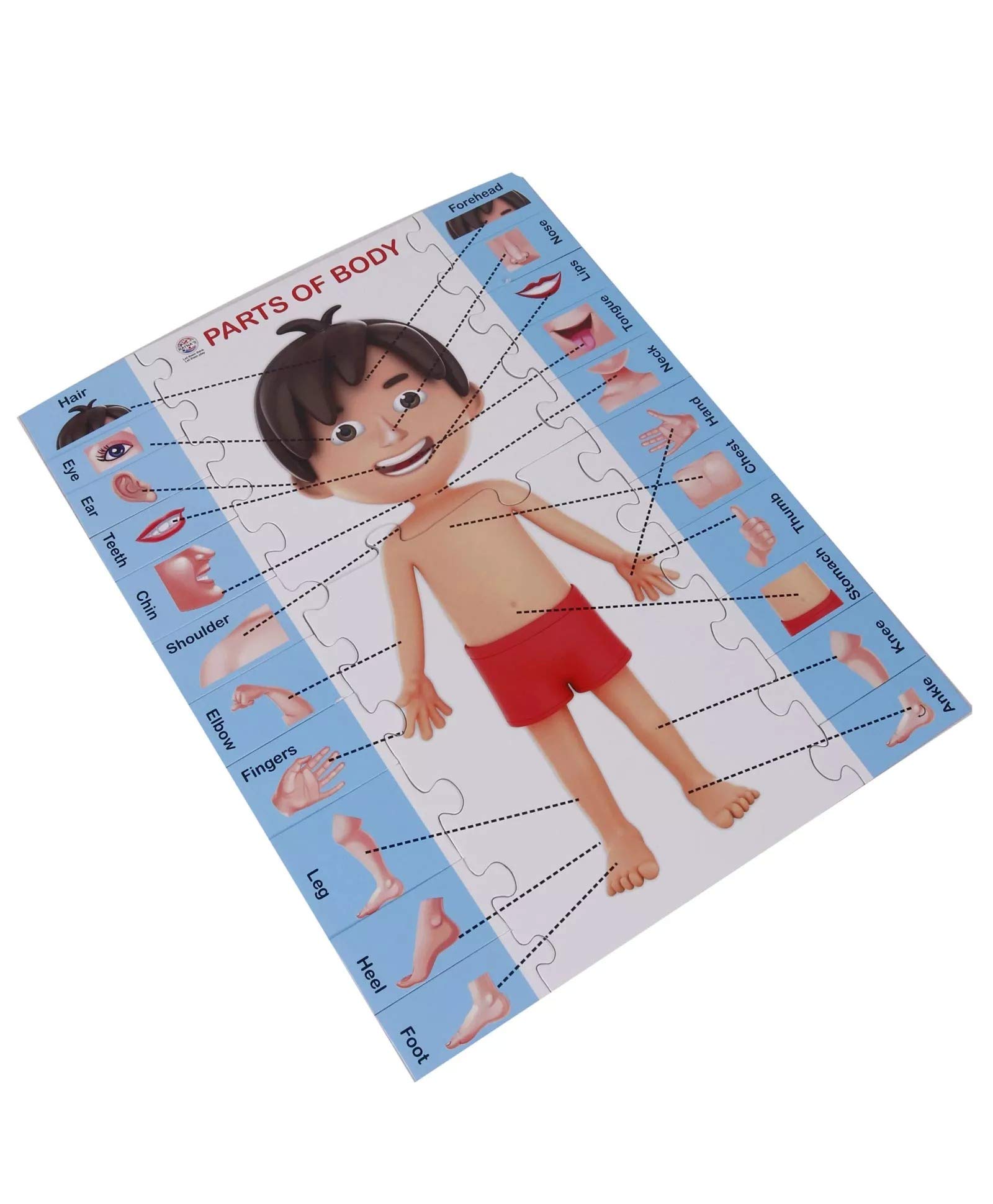 RATNA's 2-in-1 Educational Body Parts Jigsaw Puzzle for Kids with Write & Wipe Board - Learn Human Anatomy Through Play | Perfect for Homeschooling & Preschool Learning Activities