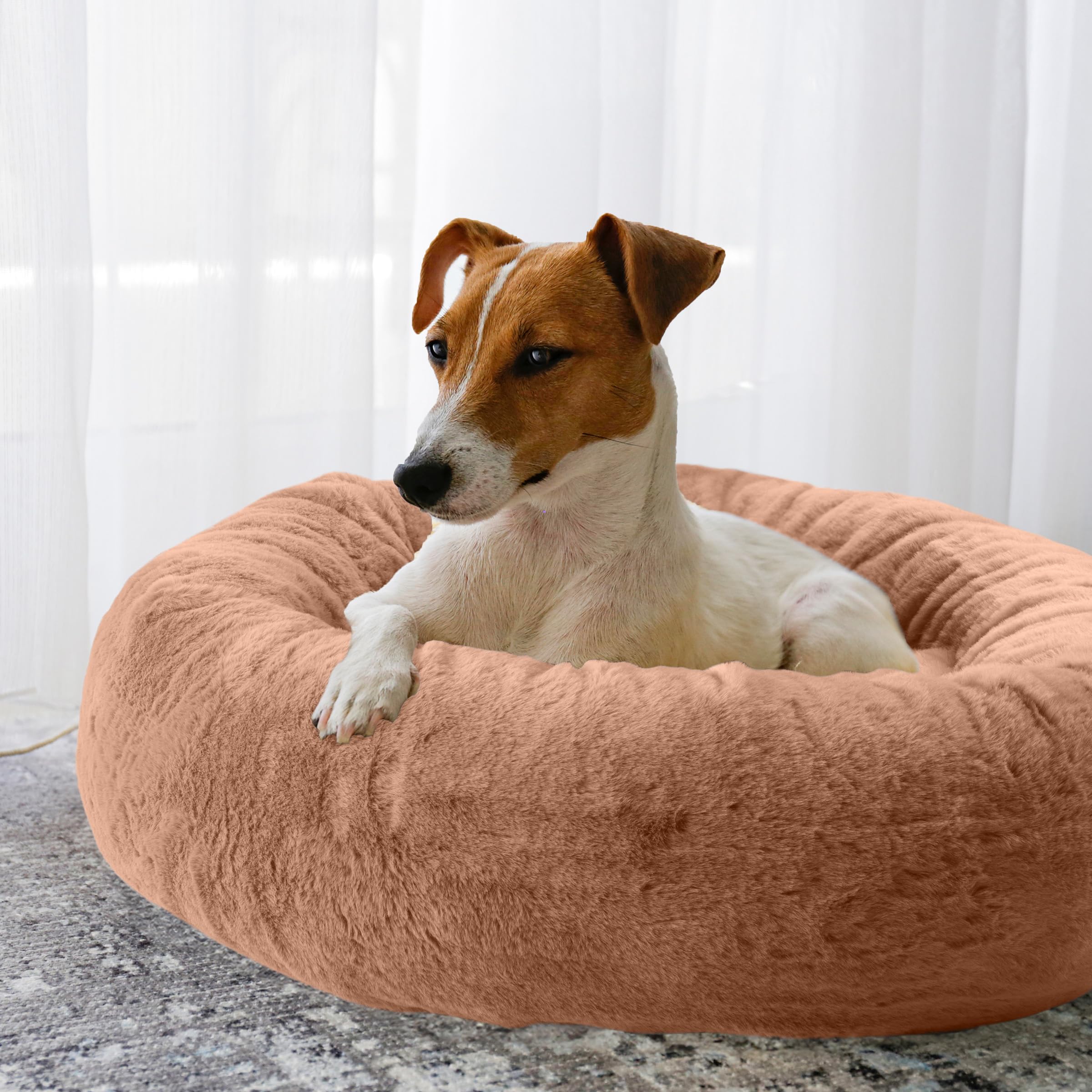 PETMAKER Donut Dog Bed for Small Dogs & Cats - Washable Removable Cover & Anti-Slip Bottom - Cozy Pet Bed for Puppies & Kittens - Perfect for Home, Crate & Travel (Beige)