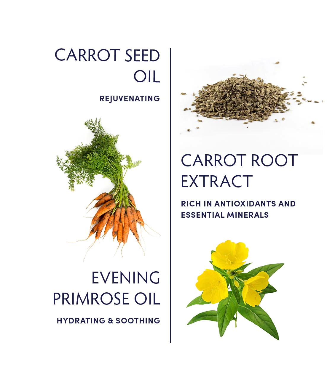 Naturopathica Carrot Seed Soothing Facial Oil - Organic Hydrating & Anti-Aging Face Oil for Dry & Sensitive Skin | Perfect for Nighttime Skincare Routine & Post-Facial Treatment