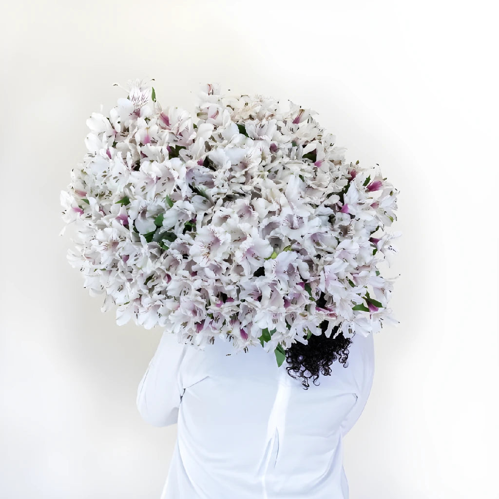 Alstroemeria Spiral Valentine's Day Flower Bouquet - Fresh Cut Peruvian Lily Arrangement for Romantic Gifts, Anniversaries & Weddings