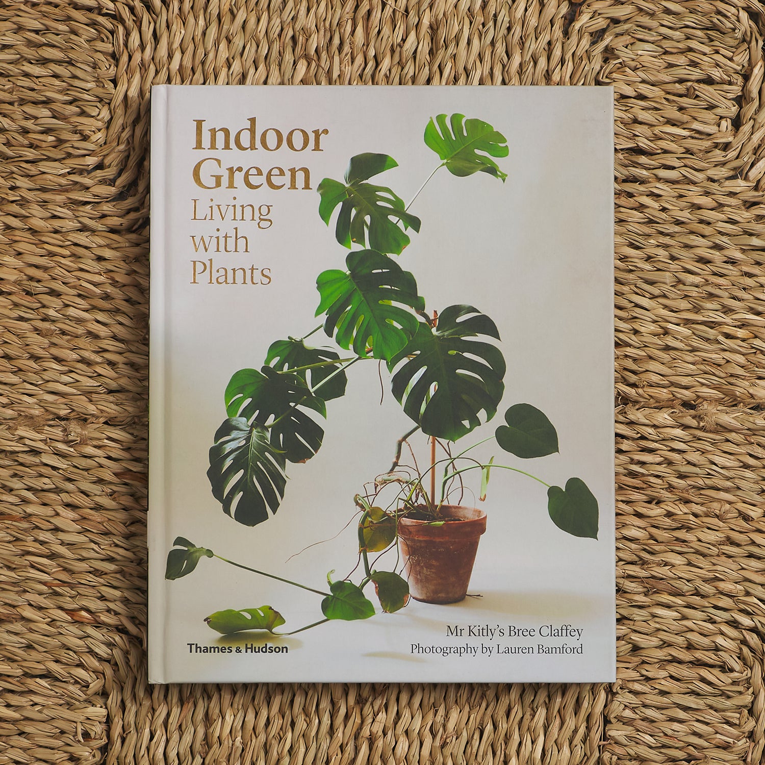 Indoor Green: Living with Plants - Best Houseplants for Home Decor, Air Purifying & Wellness | Perfect for Apartments, Offices & Living Spaces