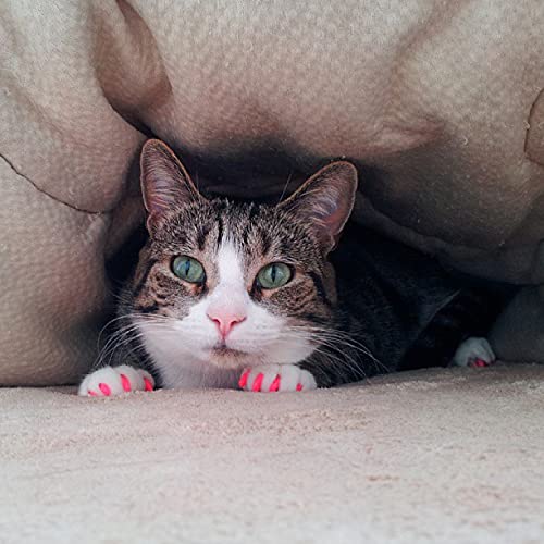 Soft Nail Caps for Cats - Green Glitter Claw Covers for Kittens | Safe & Comfortable Cat Nail Protectors for Furniture & Skin Protection