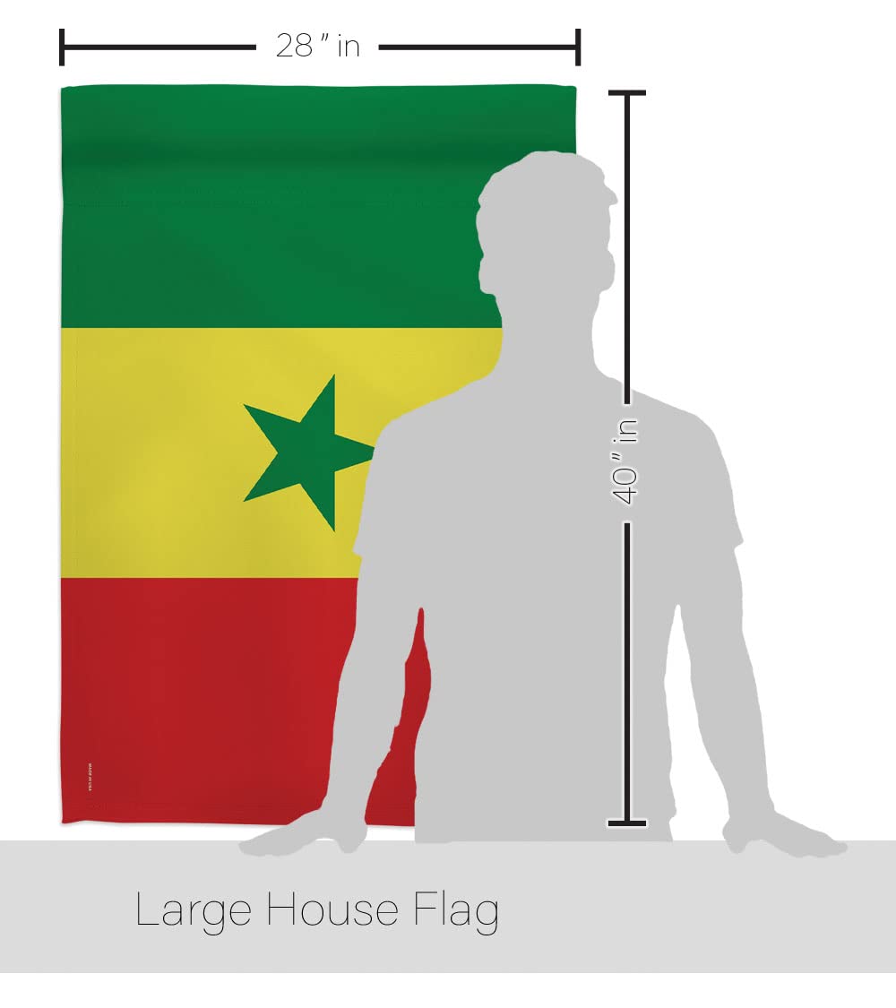 Senegal National Flag Set 28x40in w/Pole - Home & Garden Decor