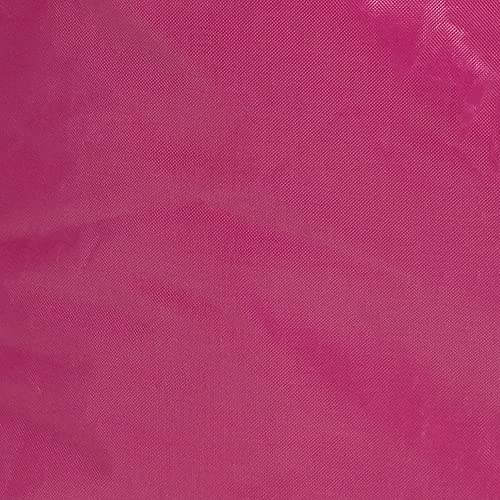 Raspberry