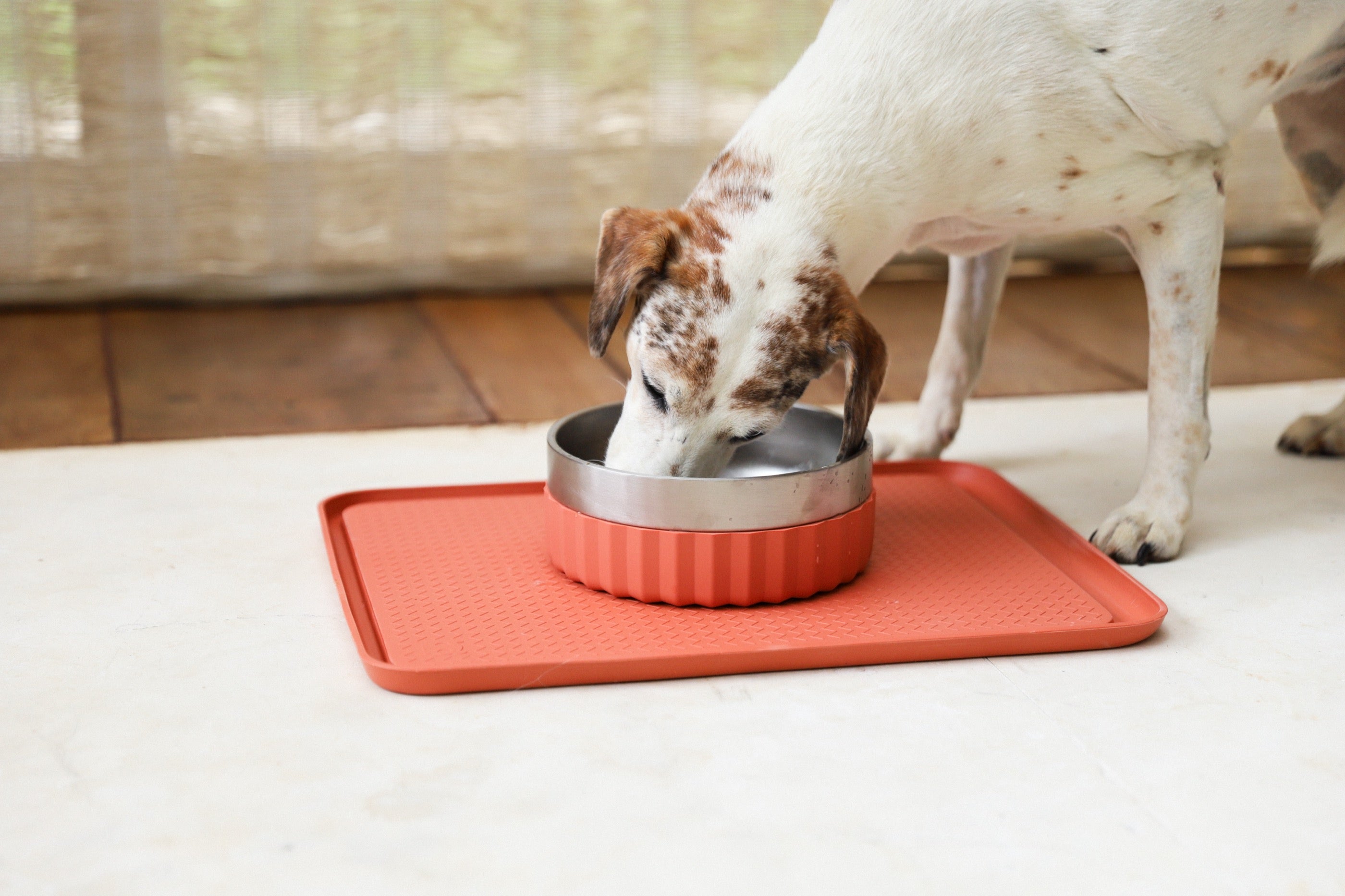 Plato Tuff Bowl 1.2L - Durable Ceramic Pet Food Dish for Dogs & Cats - Mayo Star Clay Design by Zee.Dog - Perfect for Wet/Dry Food & Water - Shatterproof & Non-Slip Base