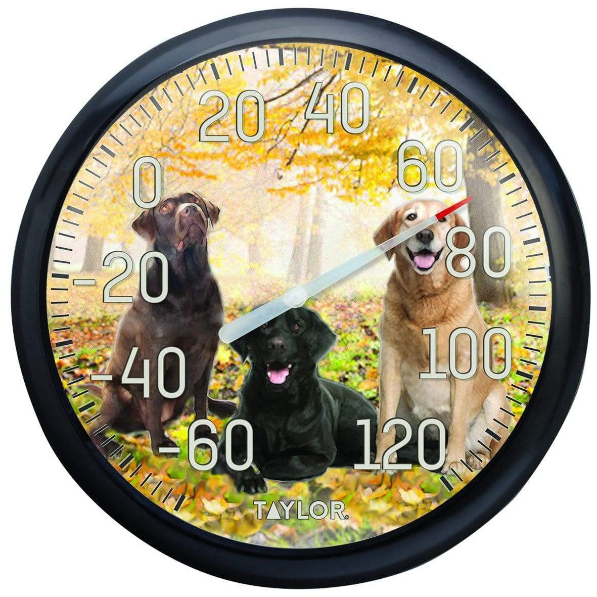13.25