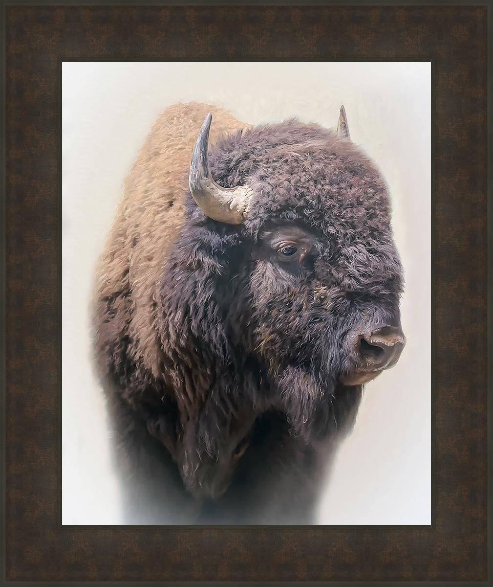 Bison By Matthew Grant | Premium Bison Meat & Jerky | High-Protein Snacks for Camping, Hiking & Outdoor Adventures
