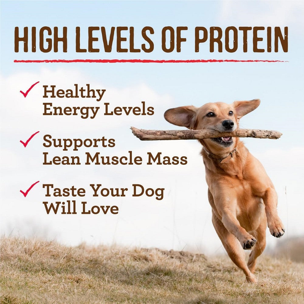 Grain-Free Chunky Big Texas Steak Tip Dinner for Adult Dogs - High Protein Wet Dog Food for Large Breeds & Active Pets - Perfect for Mealtime, Training Rewards & Special Occasions