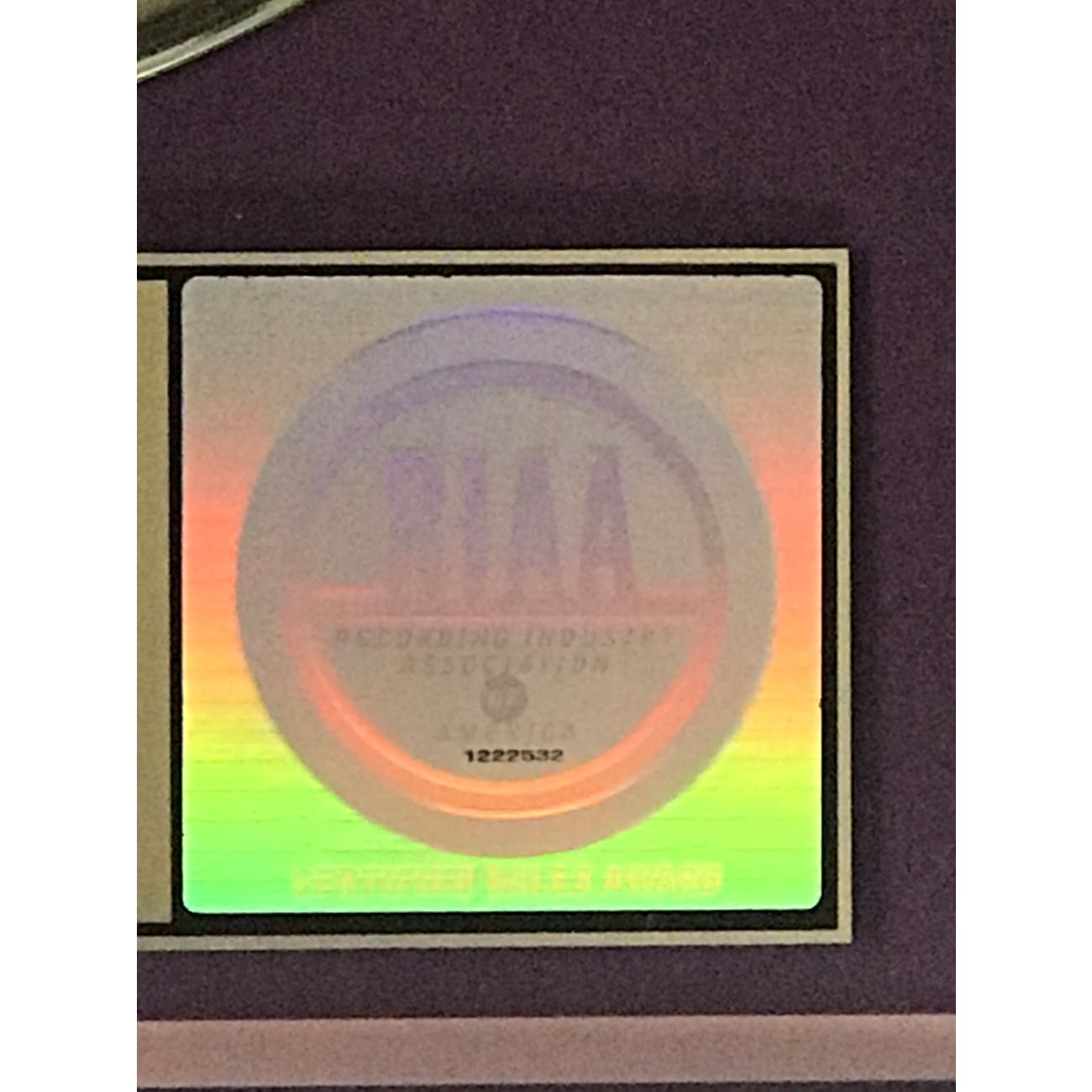 Joss Stone The Soul Sessions RIAA Gold Album Award - Certified Gold Record for Music Lovers & Collectors - Perfect for Home Decor, Music Rooms & Gift Giving
