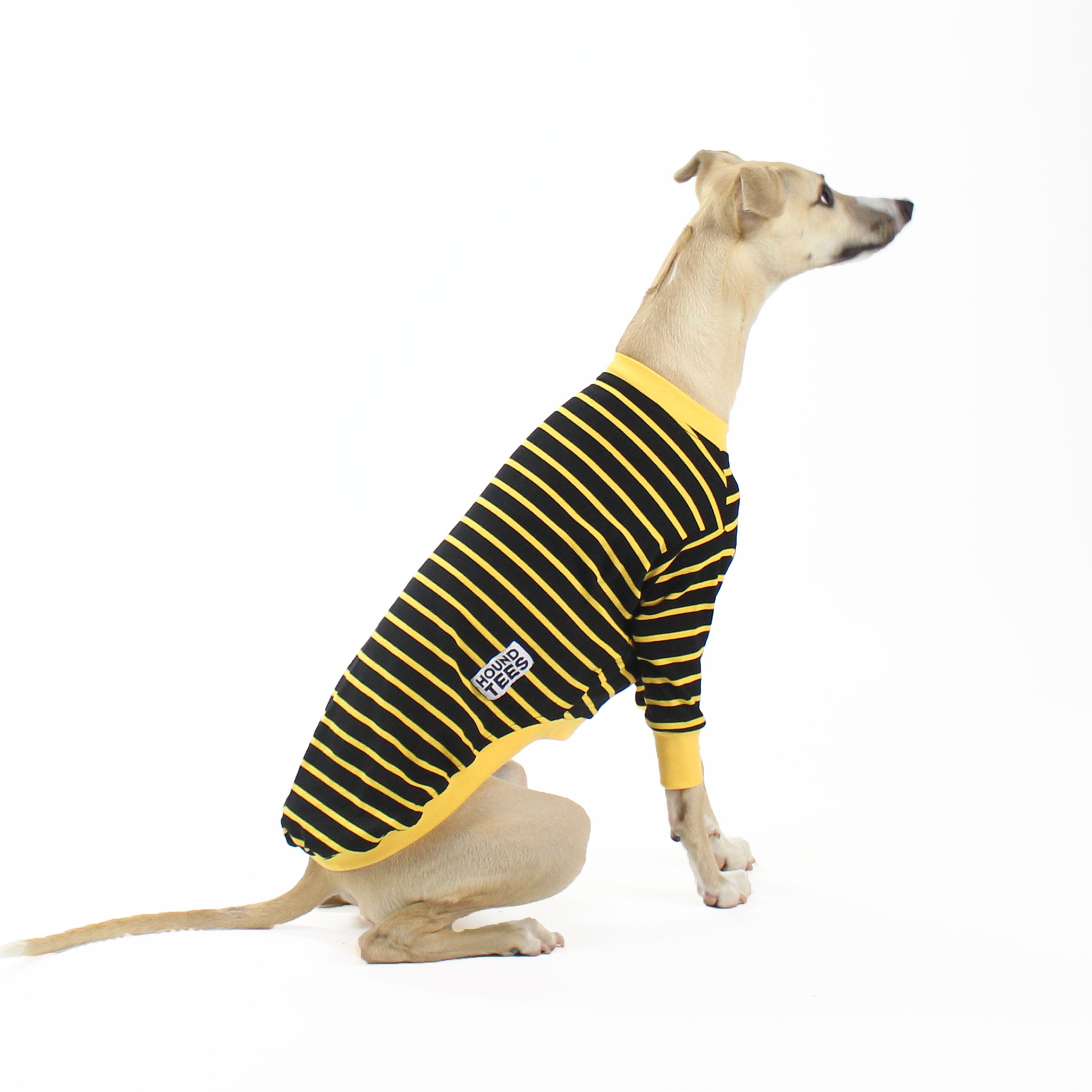 Buzz Whippet Long Sleeve Hound Tee - Trendy Dog Lover Graphic T-Shirt for Men & Women - Perfect for Casual Wear, Dog Walks, and Pet Owner Gifts