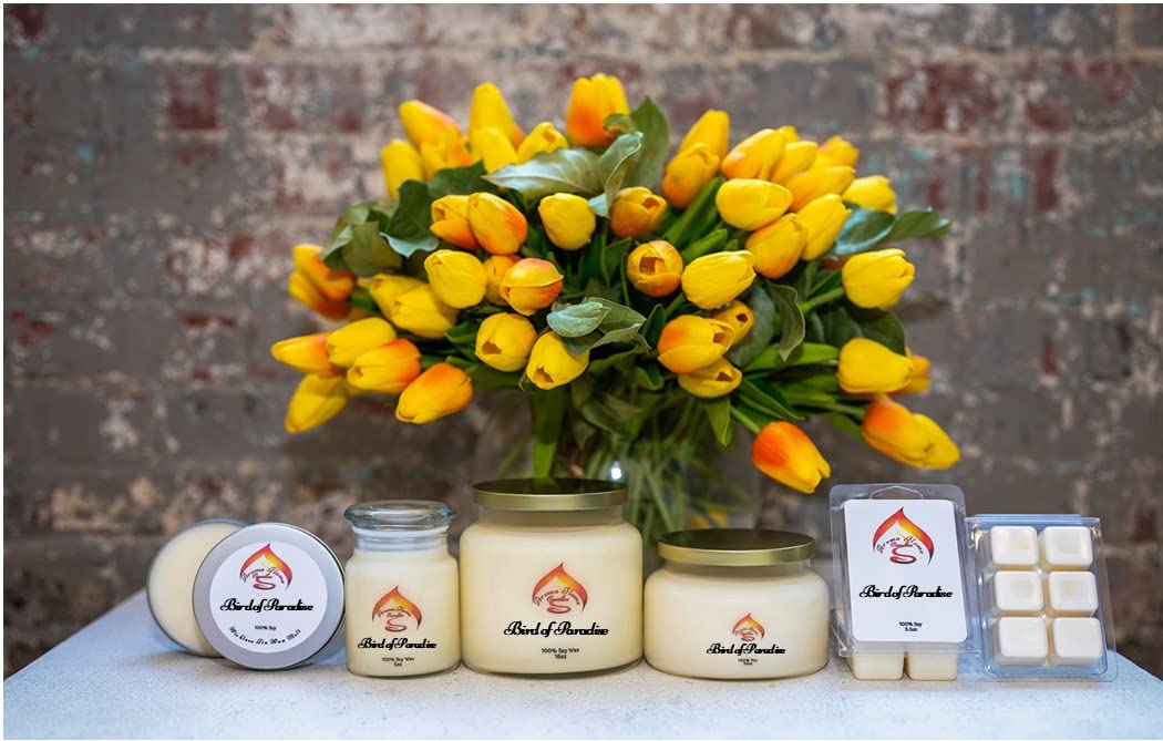 Handmade Soy Wax Candles 10oz - Non-Toxic Pet Safe Candles with Long Lasting Burn - Dye Free Aromatherapy Candles (Butt Naked Scent) - Perfect for Relaxation, Meditation & Home Decor