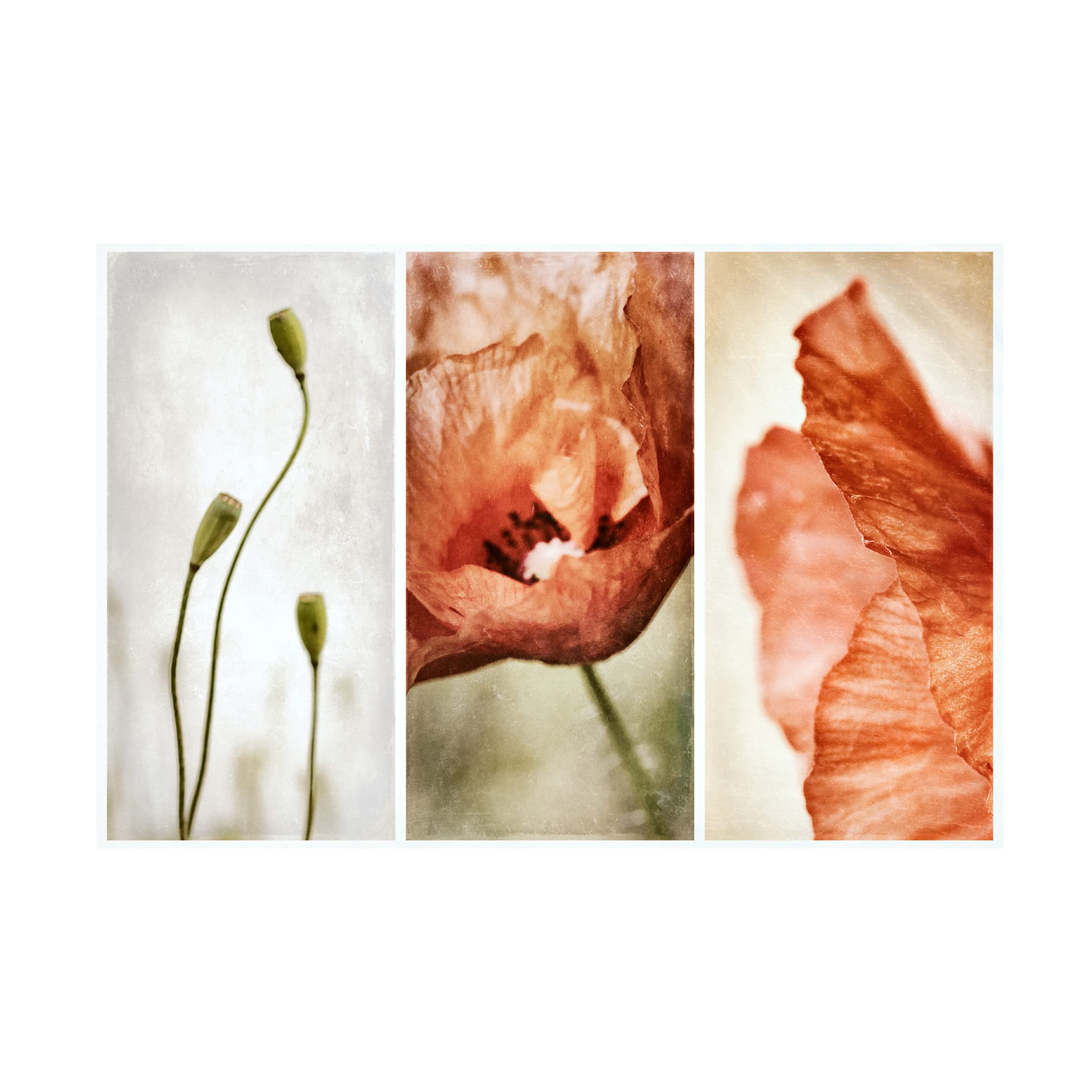 Trademark Fine Art 'Untitled' by Gustav Davidsson - Premium Canvas Wall Art for Living Room, Bedroom & Office Decor