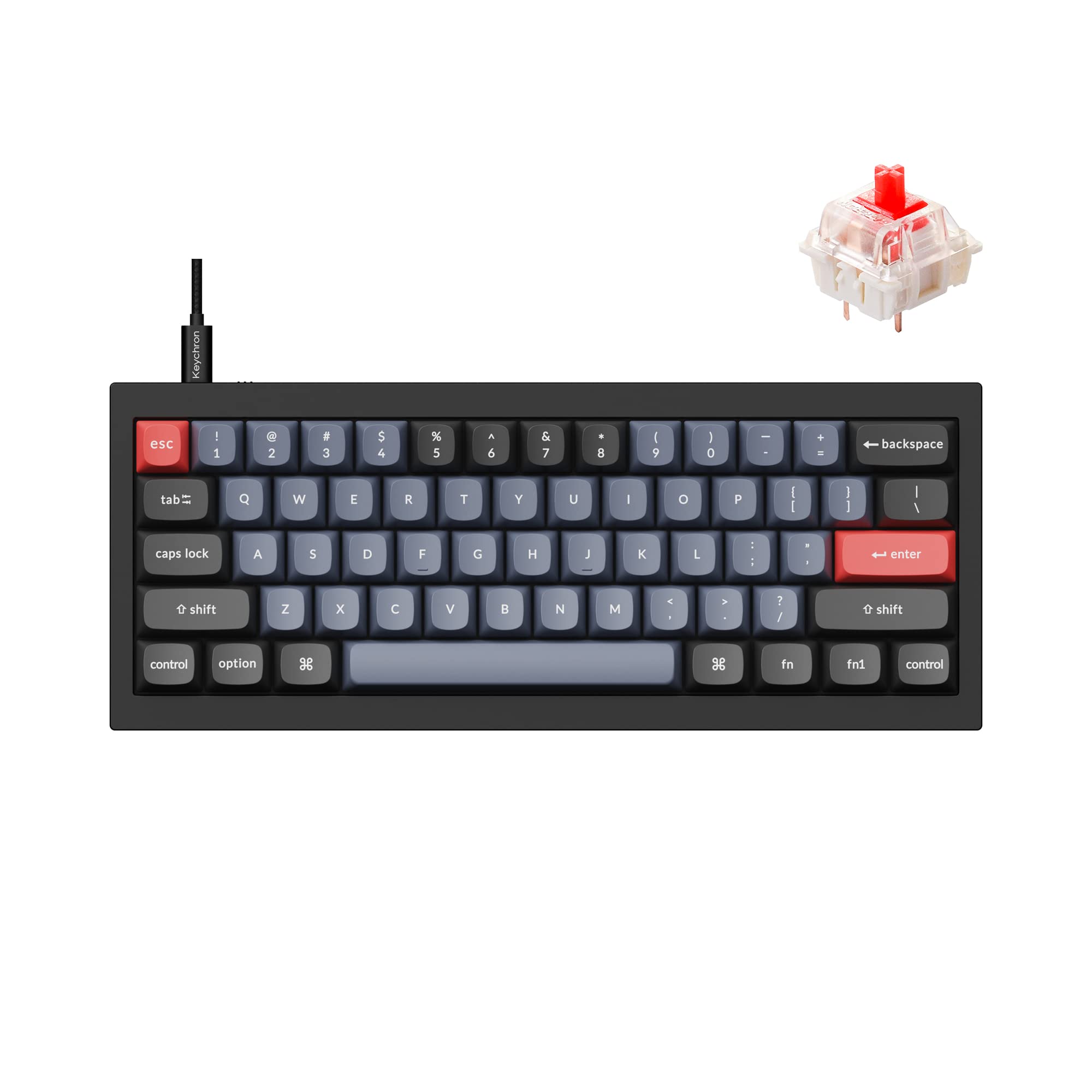 Keychron Q4 60% Wired Custom Mechanical Keyboard - Hot-Swappable Gateron G Pro Red Switches, QMK/VIA Programmable, Double Gasket Design for Mac/Windows/Linux (Black) | Perfect for Gaming, Coding & Office Work