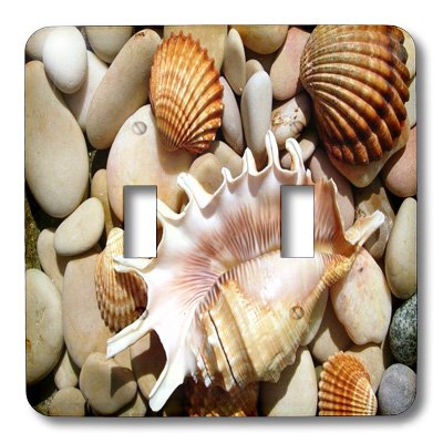 3D Printed Stones and Seashells Closeup Light Switch Cover - Decorative Wall Plate for Bedroom, Bathroom, Kitchen & Living Room - Easy DIY Installation Home Decor Accessory