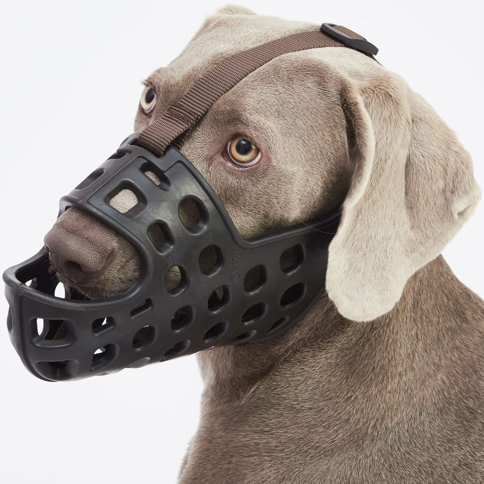 **Breathable Basket Dog Muzzle for Small, Medium & Large Dogs - Anti-Barking, Biting & Chewing - Adjustable & Comfortable (XS, Black) - Perfect for Training, Grooming & Vet Visits**