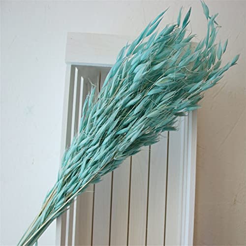 30pcs Blue