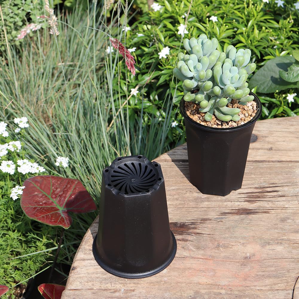 BangQiao 14 Pack 4.40 Inch Black Plastic Deep Nursery Pots - Seedling Planter Containers for Transplanting, Cutting, Succulents & Plants | Ideal for Indoor Gardening, Greenhouses & Home Plant Propagation