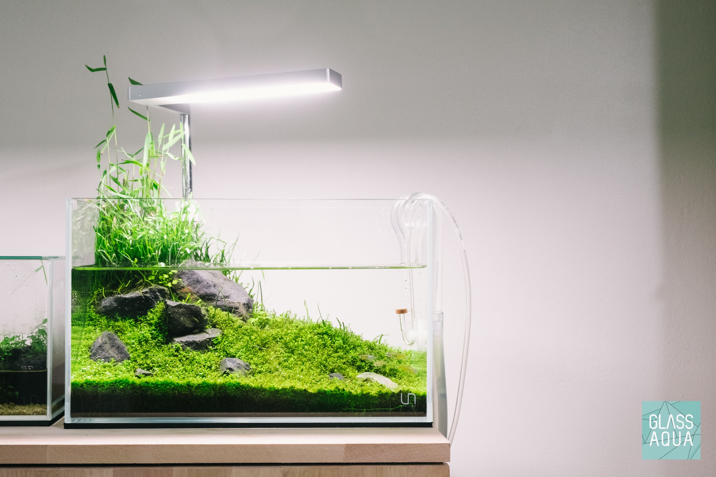 Ultum Nature Systems Controsoil - Premium Planted Aquarium Substrate for Healthy Plant Growth | Ideal for Shrimp Tanks, Aquascaping & Natural Aquariums
