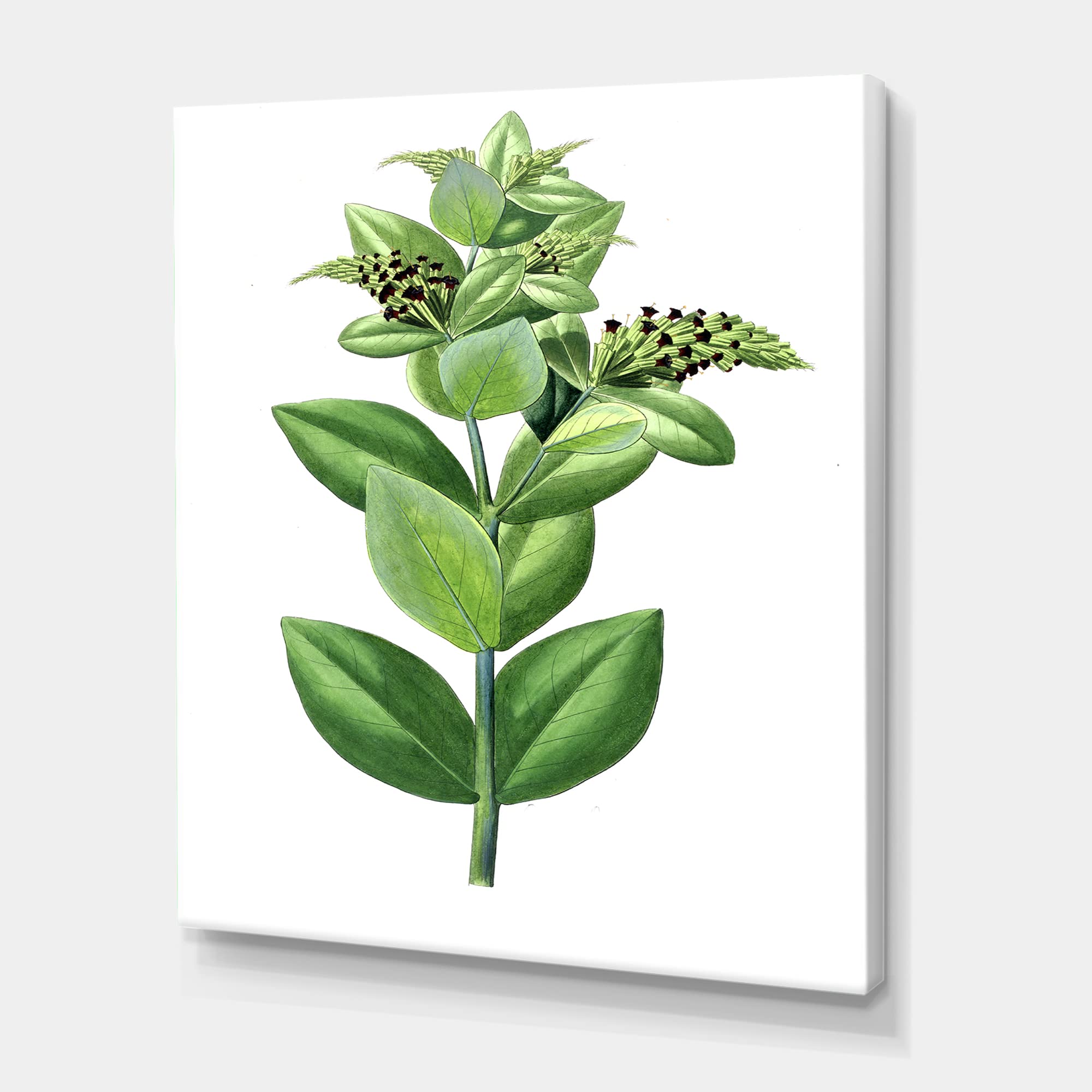 Vintage Green Leaves Plants VI Traditional Canvas Wall Art - Botanical Home Decor for Living Room, Bedroom & Office