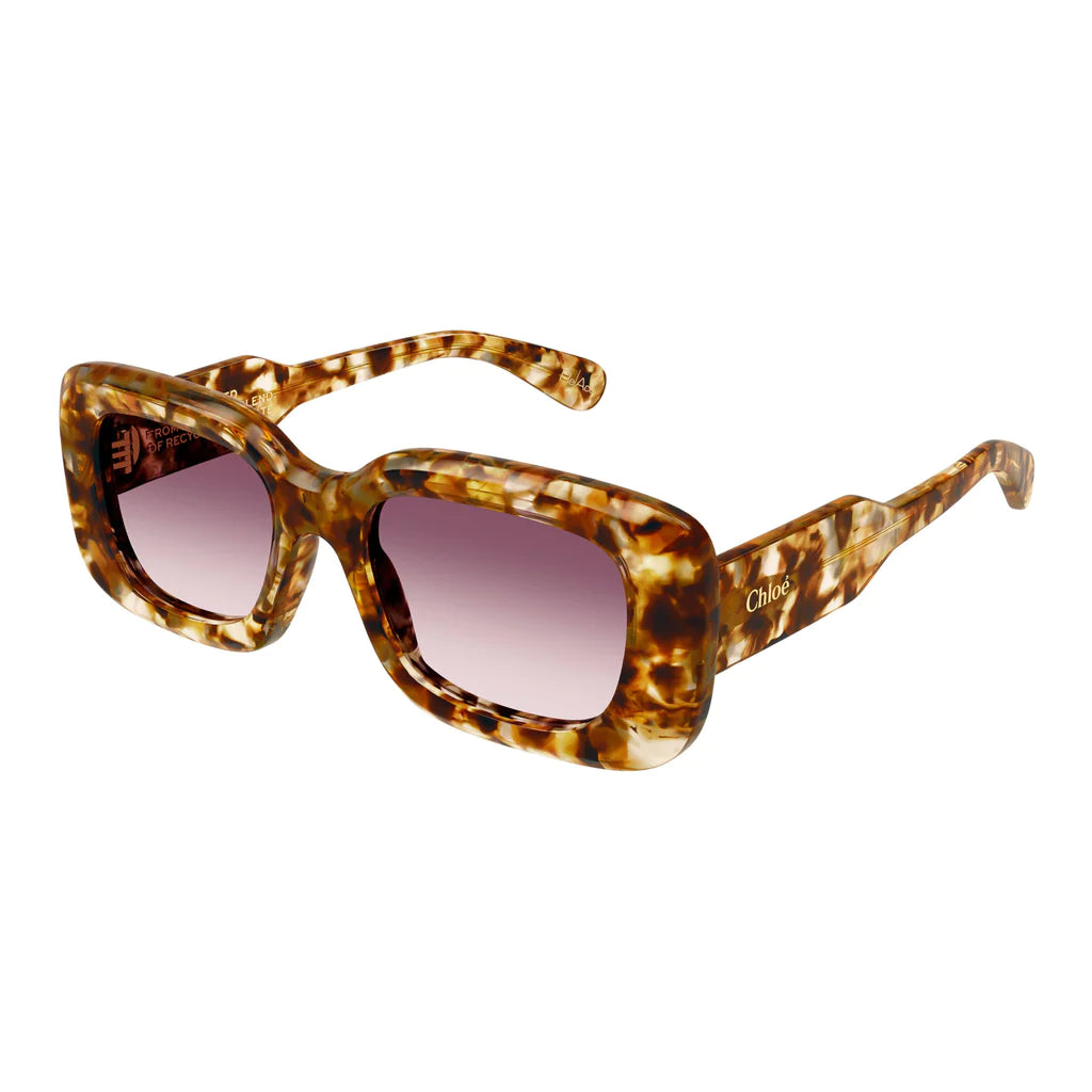CH0188S 007 | HAVANA Style Sunglasses - Polarized UV Protection Aviator Glasses for Men & Women - Perfect for Driving, Beach & Outdoor Activities