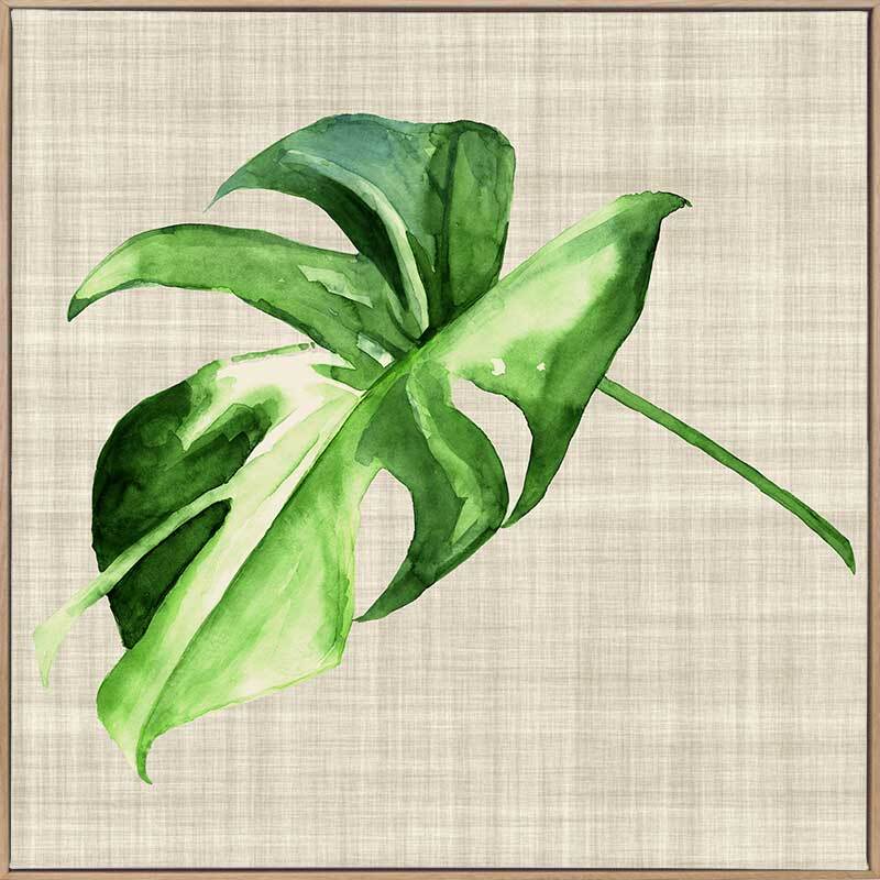 Beautiful Araceae Canvas Art Print - Tropical Plant Wall Decor for Living Room, Bedroom & Office - Perfect Gift for Home & Interior Design Lovers