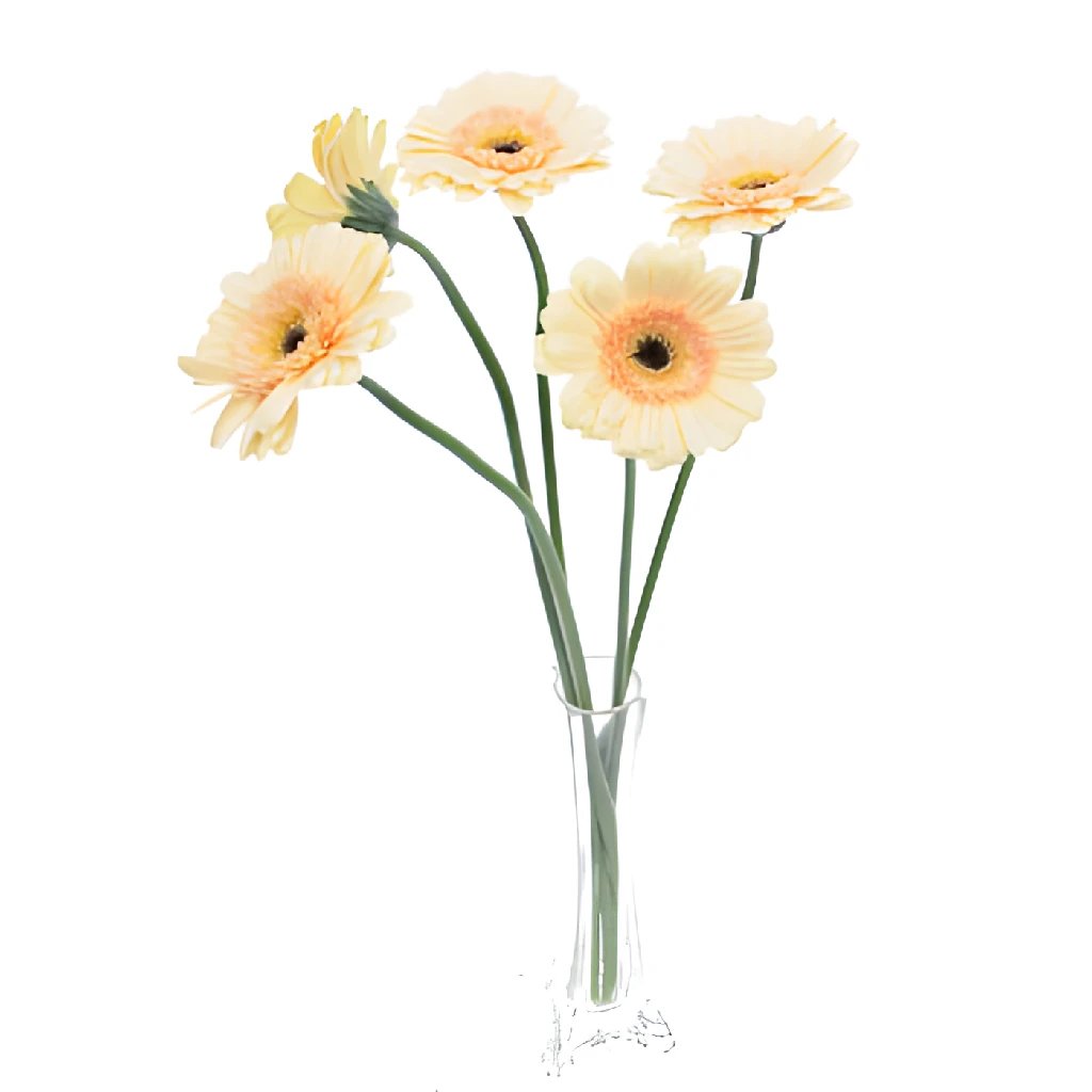 Blush Peach Mini Gerbera Daisies - Artificial Silk Flowers for Home Decor, Wedding Bouquets, and Party Centerpieces