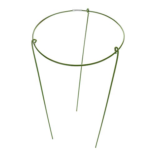 6Pcs