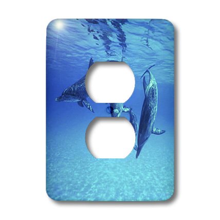 3D Rose Dolphins Underwater 2 Plug Outlet Cover - Decorative Electrical Safety Cover for Kids & Pets - Perfect for Nursery, Bedroom, Bathroom, and Office