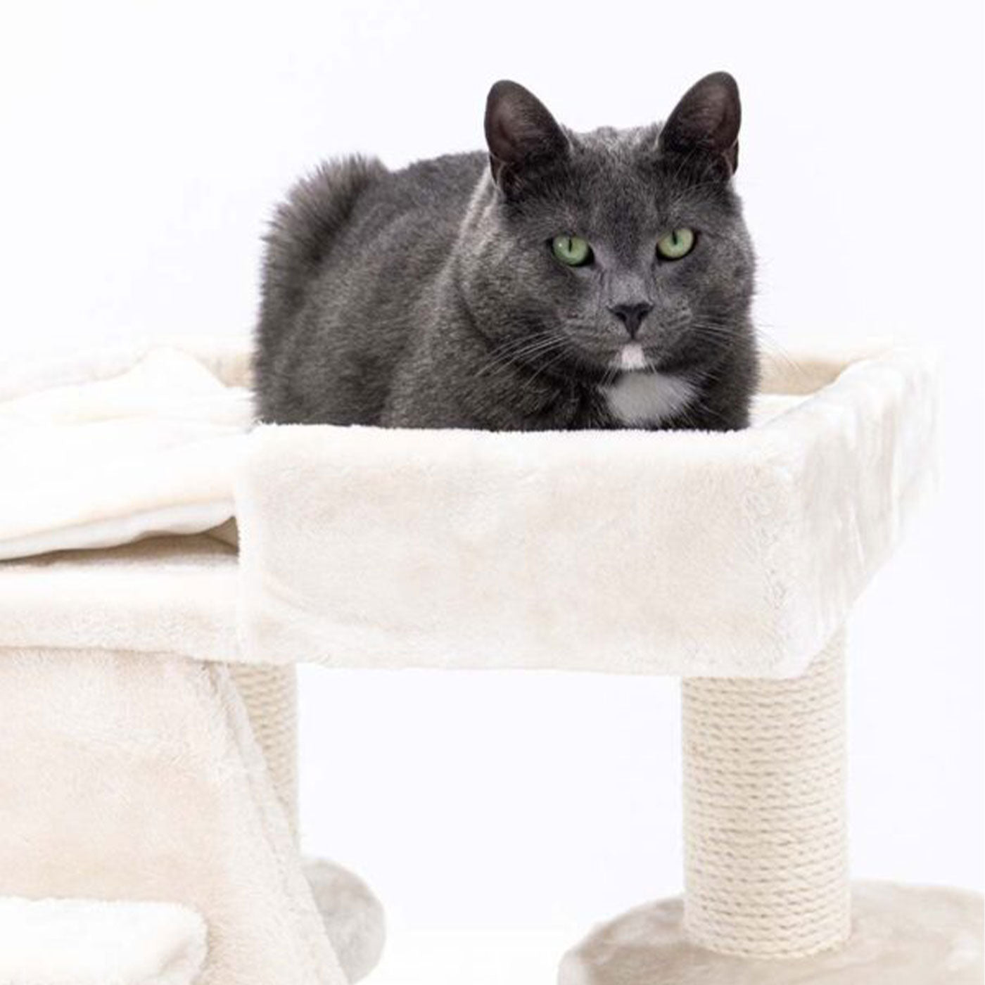 Little Rebels Tucson 61cm Cat Tree - Premium Scratching Post with Perch & Condo for Indoor Cats - Perfect for Play, Rest & Climbing in Small Spaces