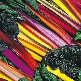 150 Mixed Colors Northern Lights Swiss Chard (Perpetual Spinach) Beta Vulgaris Cicla Vegetable Seeds - Non-GMO, Heirloom Variety for Home Gardening, Container Planting & Edible Landscaping