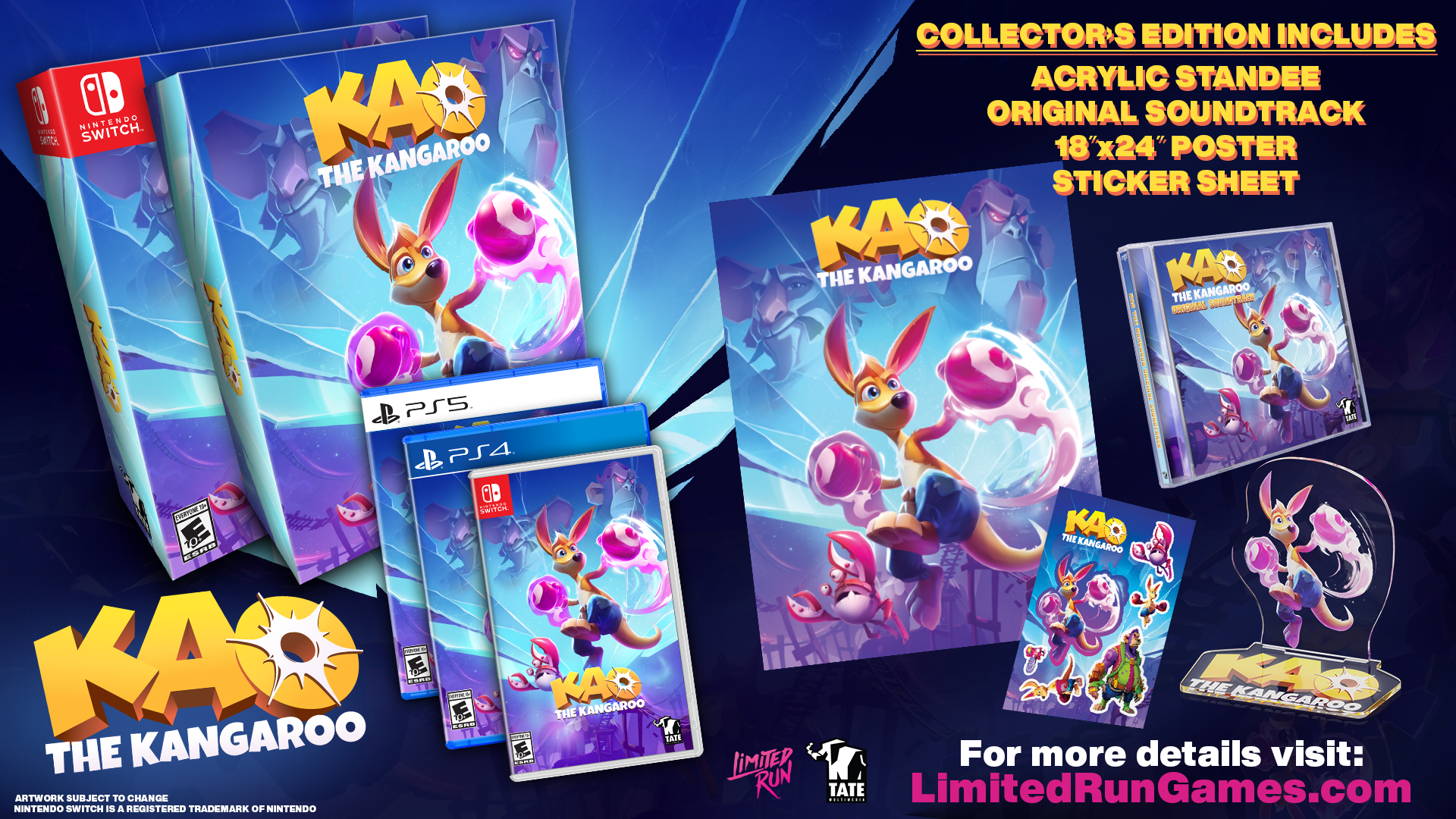 Kao the Kangaroo Collector's Edition for Nintendo Switch - Action-Adventure Game for Kids & Adults - Perfect for Family Game Night & Gift Giving