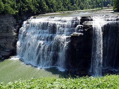 20x30 Inch Laminated Forest Waterfall Nature Poster - Vibrant Landscape Wall Art for Home & Office Decor - Perfect for Living Room, Bedroom or Office Wall Decoration