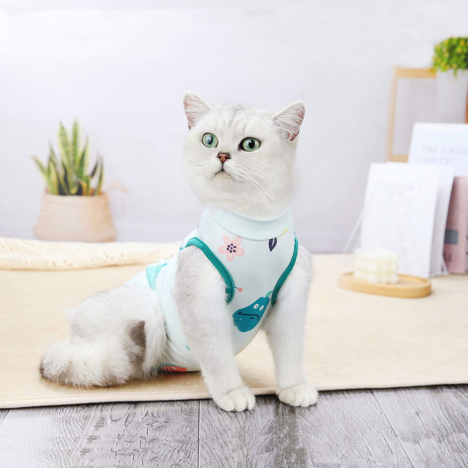 Post-Surgery Cat Recovery Suit for Abdominal Wounds & Skin Conditions | Soft E-Collar Alternative to Prevent Licking | Breathable Pet Surgical Suit for Cats & Small Dogs (Watermelon Green, Size M 3.3-5.5LB) | Ideal for Spay/Neuter Recovery & Wound Healing