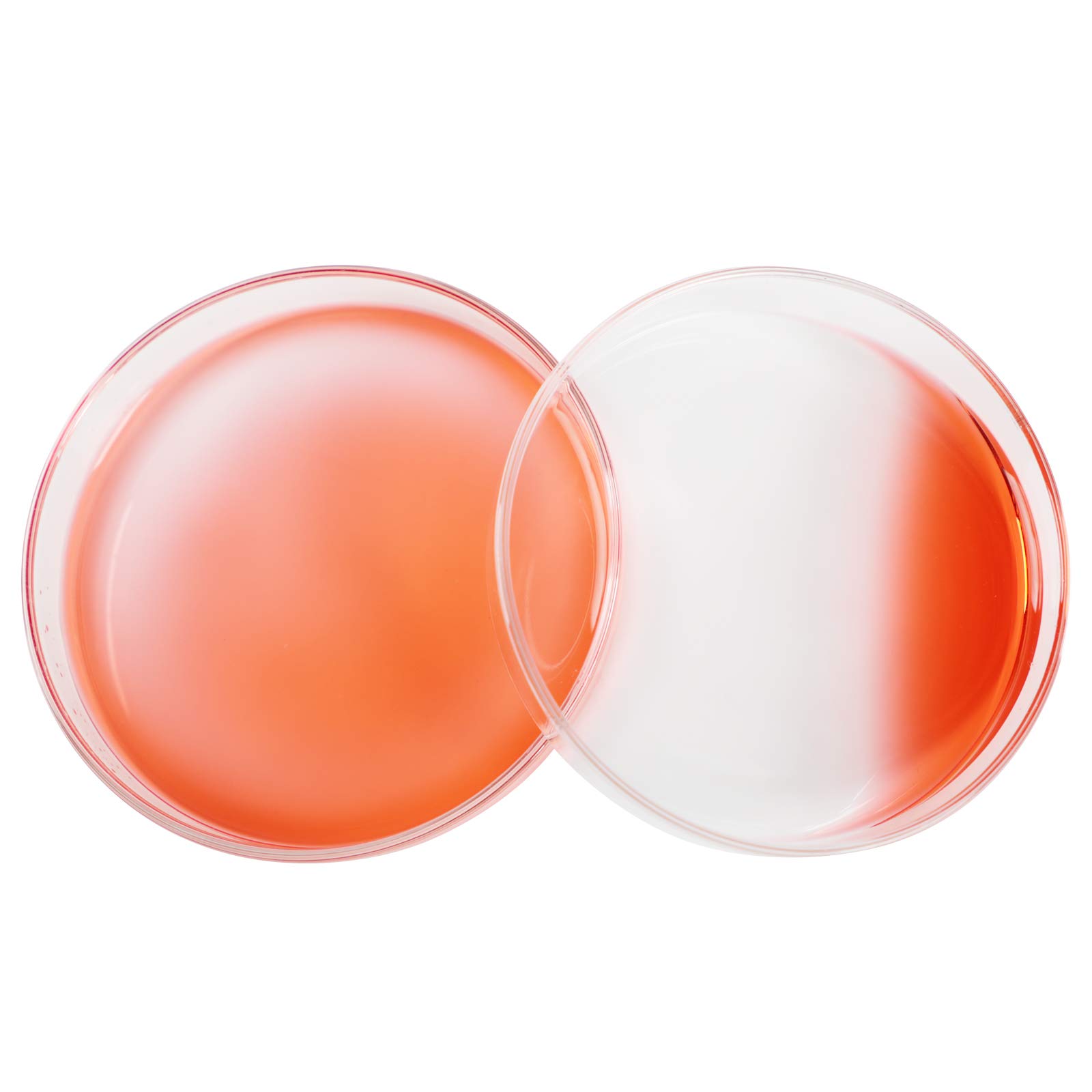 3.3 Borosilicate Glass Petri Dishes - 120mm OD, Pack of 10 - Lab-Grade Culture Dishes for Microbiology, Cell Culture & Science Experiments - Perfect for Laboratories, Schools & Research Facilities
