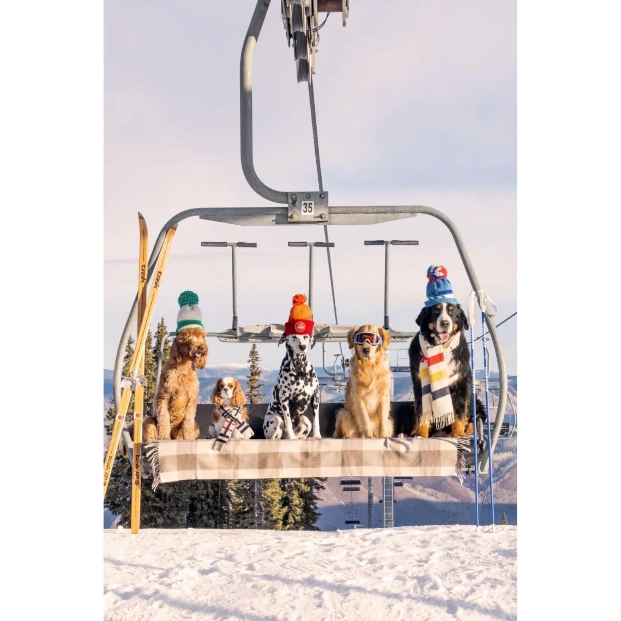 Gray Malin Chairlift Pups Vertical Print - Premium Wall Art for Home & Office Decor - Perfect for Living Rooms, Bedrooms & Gifts