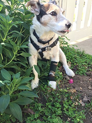 Canine Compression Sleeve for Dogs - Small Size, Pink - Supports Joint Pain & Arthritis Relief - Perfect for Small Dogs with Mobility Issues or Post-Surgery Recovery