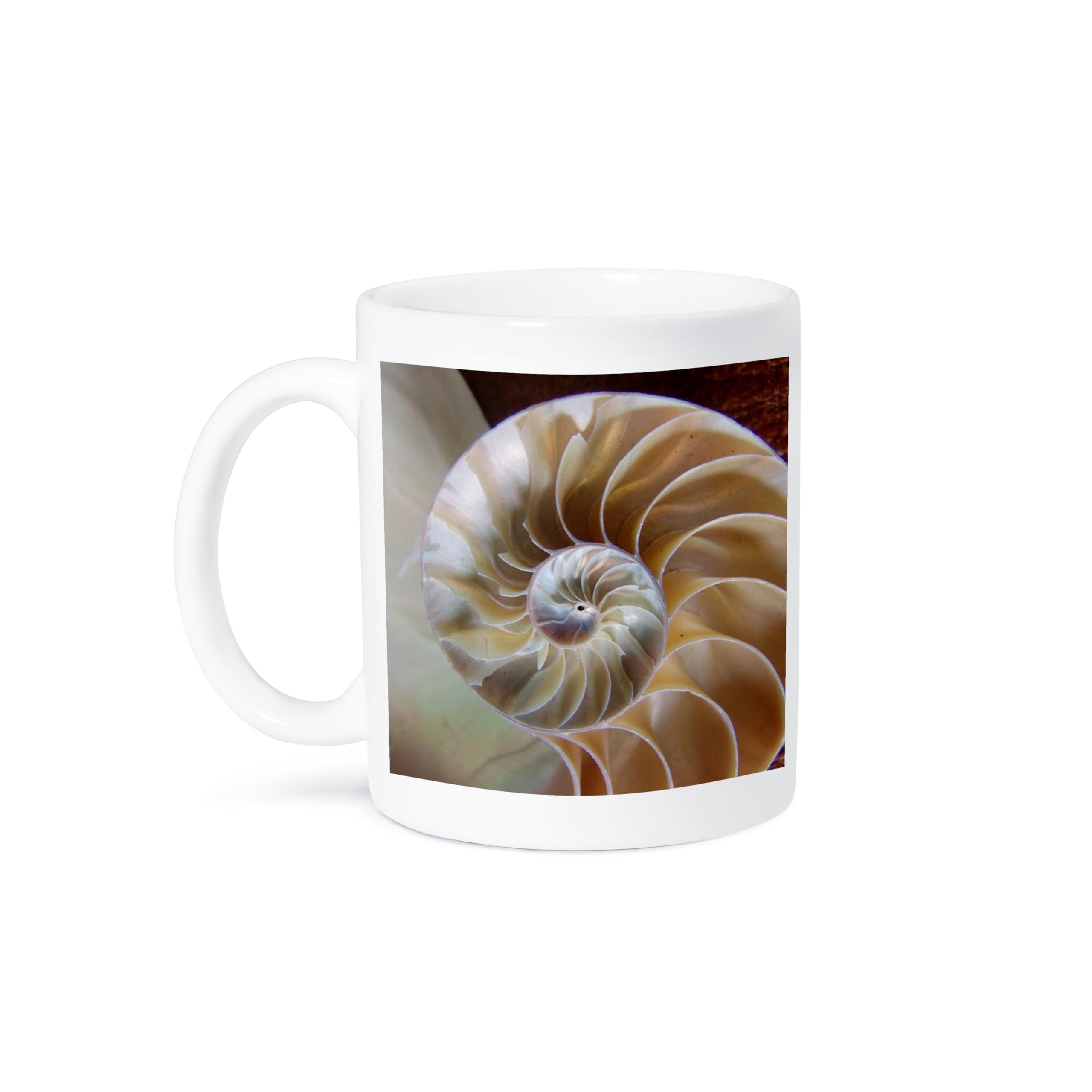 3D Rose Nautilus Up Close Ceramic Coffee Mug - 11 oz Ocean Theme Gift for Marine Lovers - Perfect for Home, Office & Beach House Use