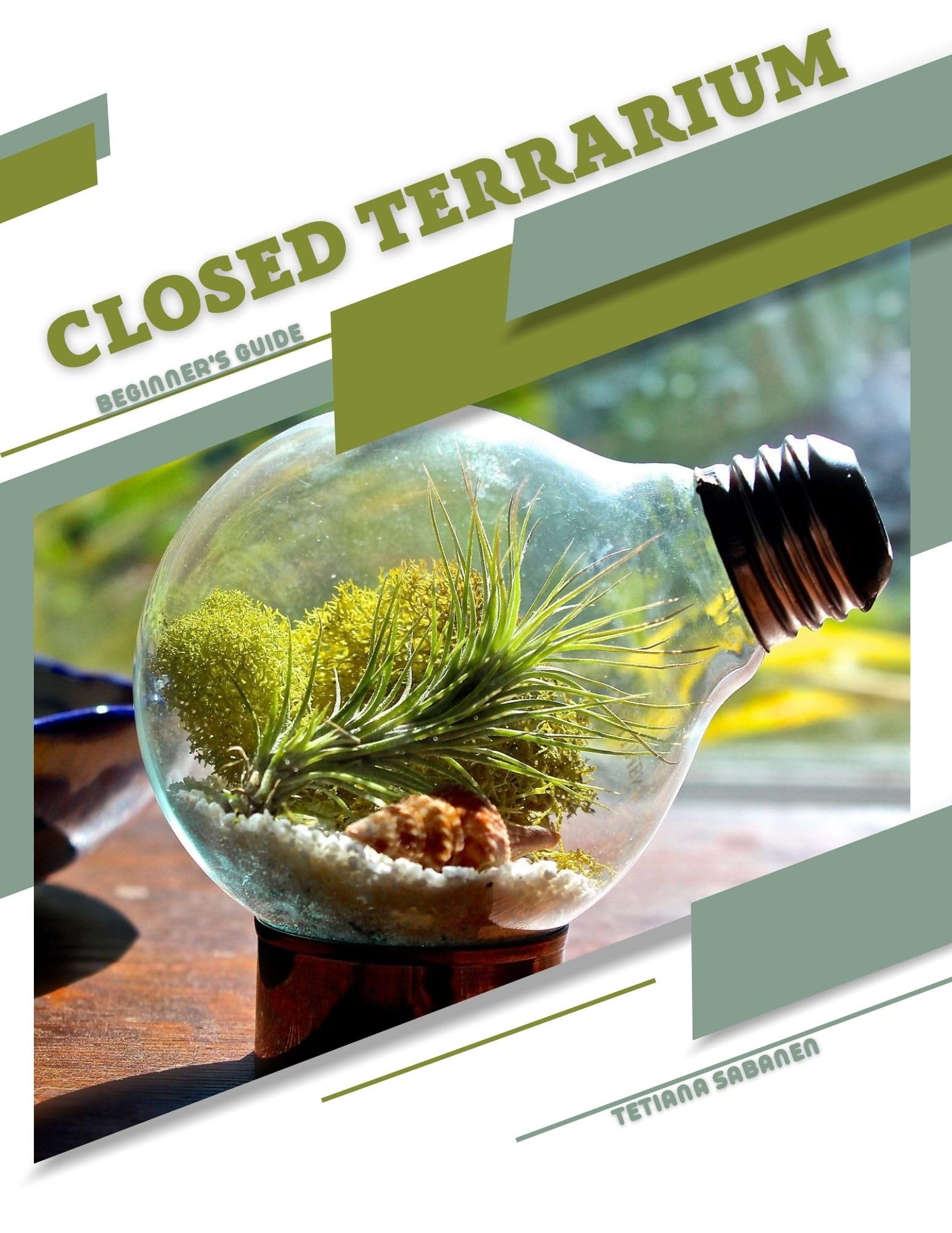 Closed Terrarium Kit for Beginners - Easy DIY Indoor Garden with Plants & Glass Container | Perfect for Home Decor, Office Desk & Gifts