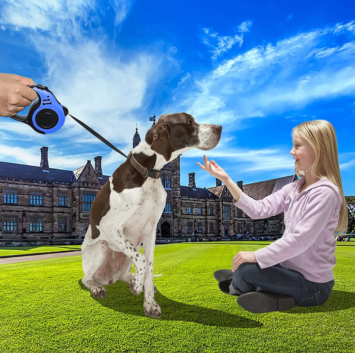 Retractable Dog Leash - Heavy Duty 16FT Nylon Tape for Small Dogs & Cats up to 26 lbs - 360° Tangle-Free Design with Anti-Slip Handle & Waste Bag Dispenser (Blue) - Perfect for Walking, Training & Outdoor Adventures