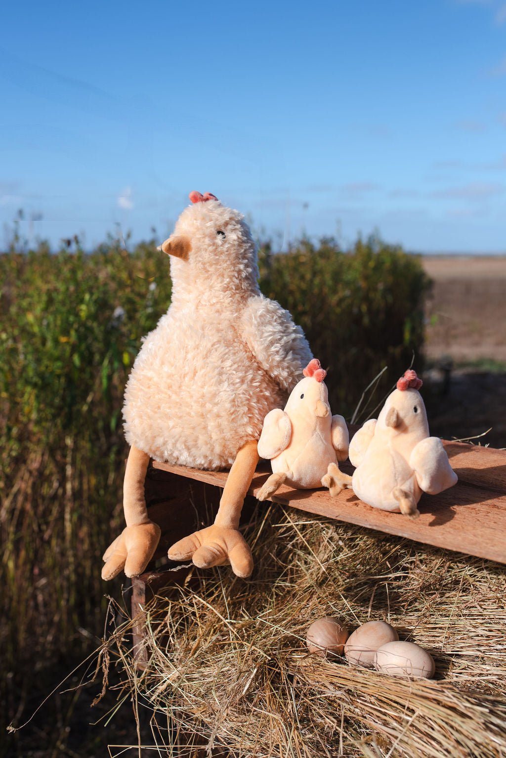 Harriet the Hen Honey - Pure Natural Raw Honey for Baking, Tea & Healthy Snacks | Farm Fresh & Unprocessed | Perfect for Breakfast, Smoothies & Gifts