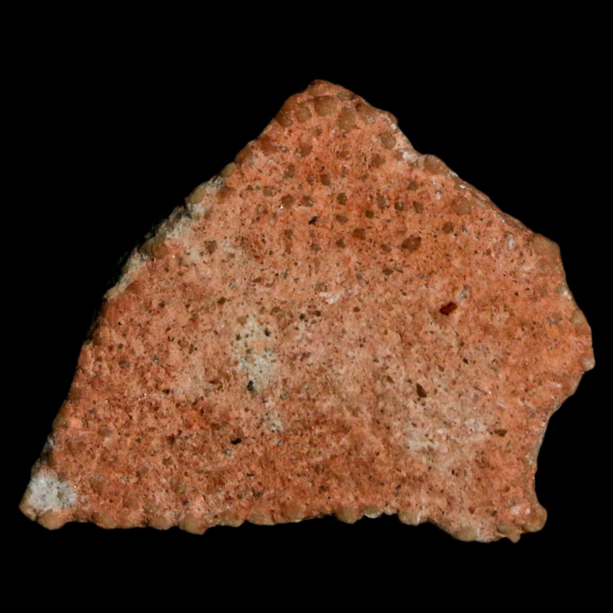Authentic 0.7 Megaloolithus Titanosaur Dinosaur Fossil Egg Shell from Bouches-du-Rhône, France - Rare Collector's Item for Museum Display & Paleontology Enthusiasts - Perfect for Educational Exhibits, Home Decor, and Fossil Collections
